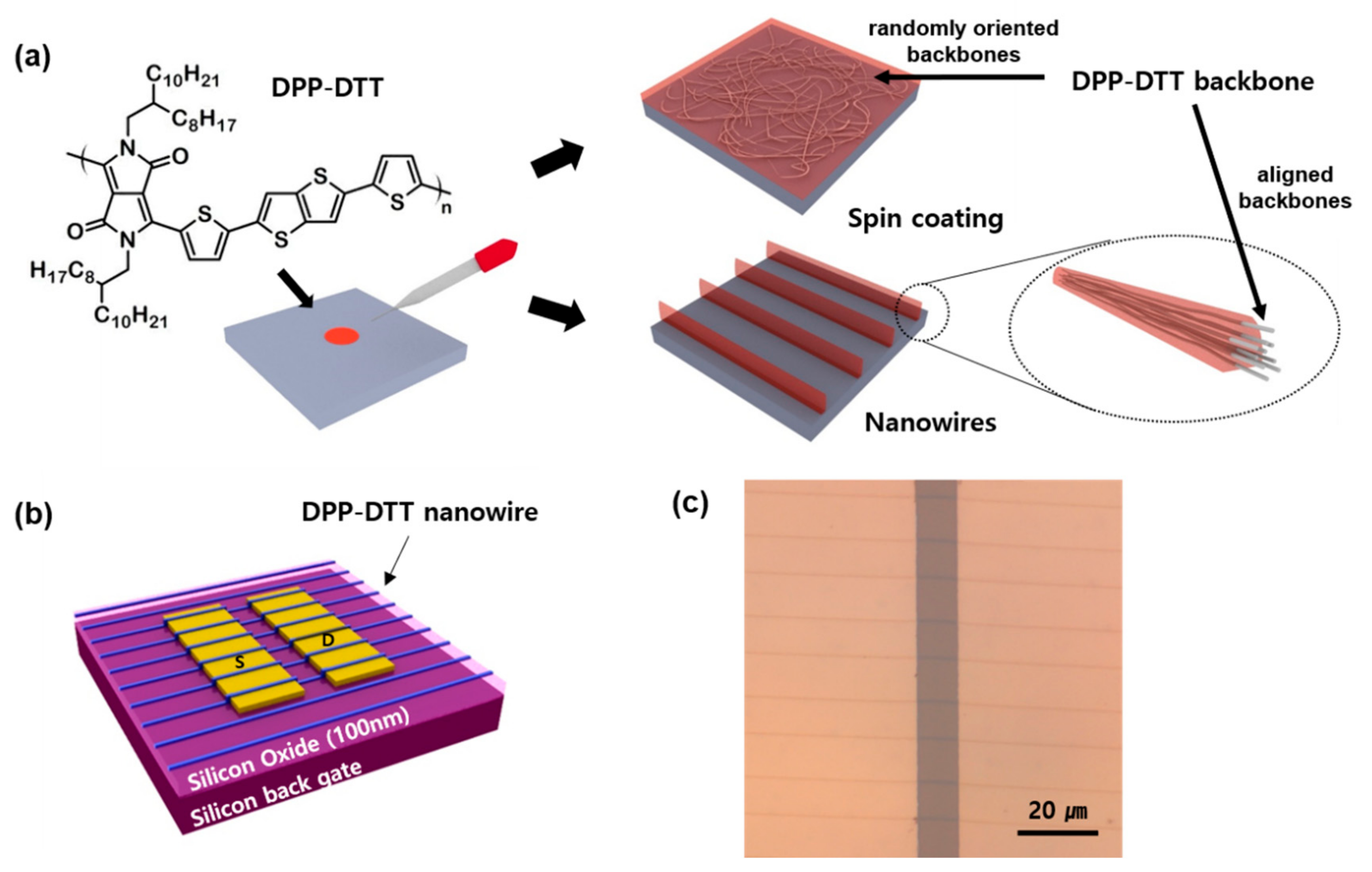 Electronics 11 00648 g001
