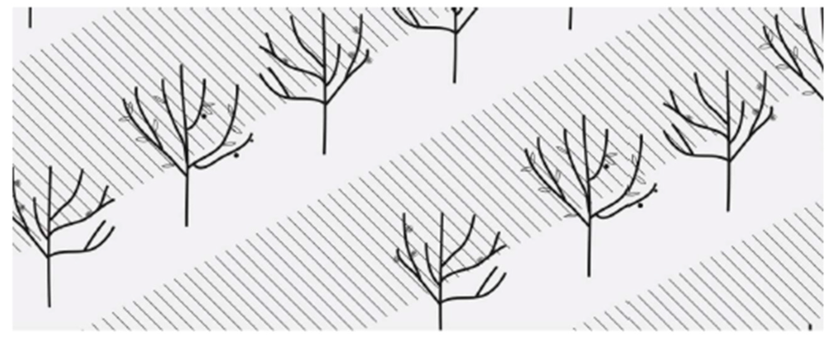 Electronics 11 00790 g013