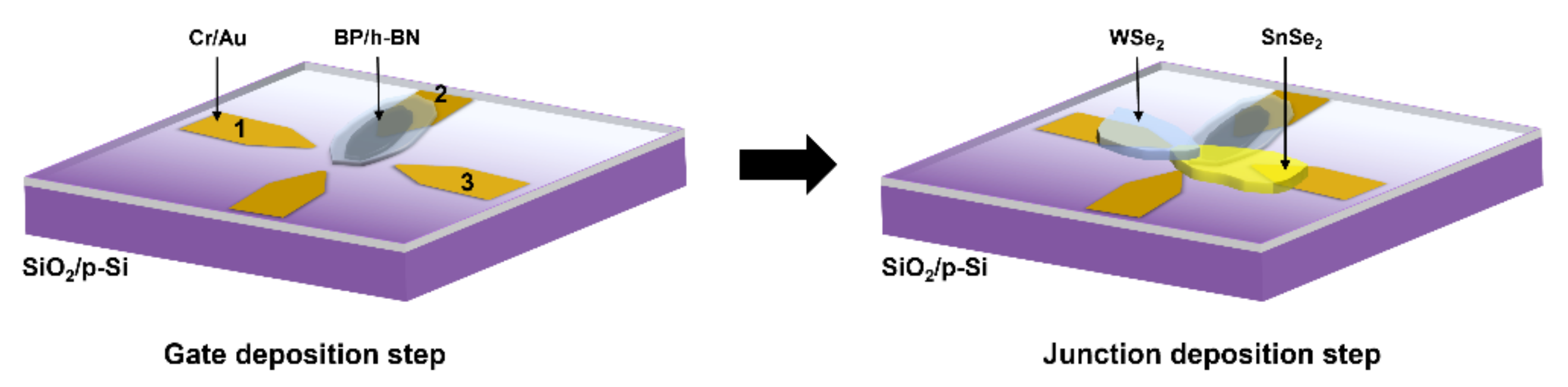 Electronics 11 00833 g001