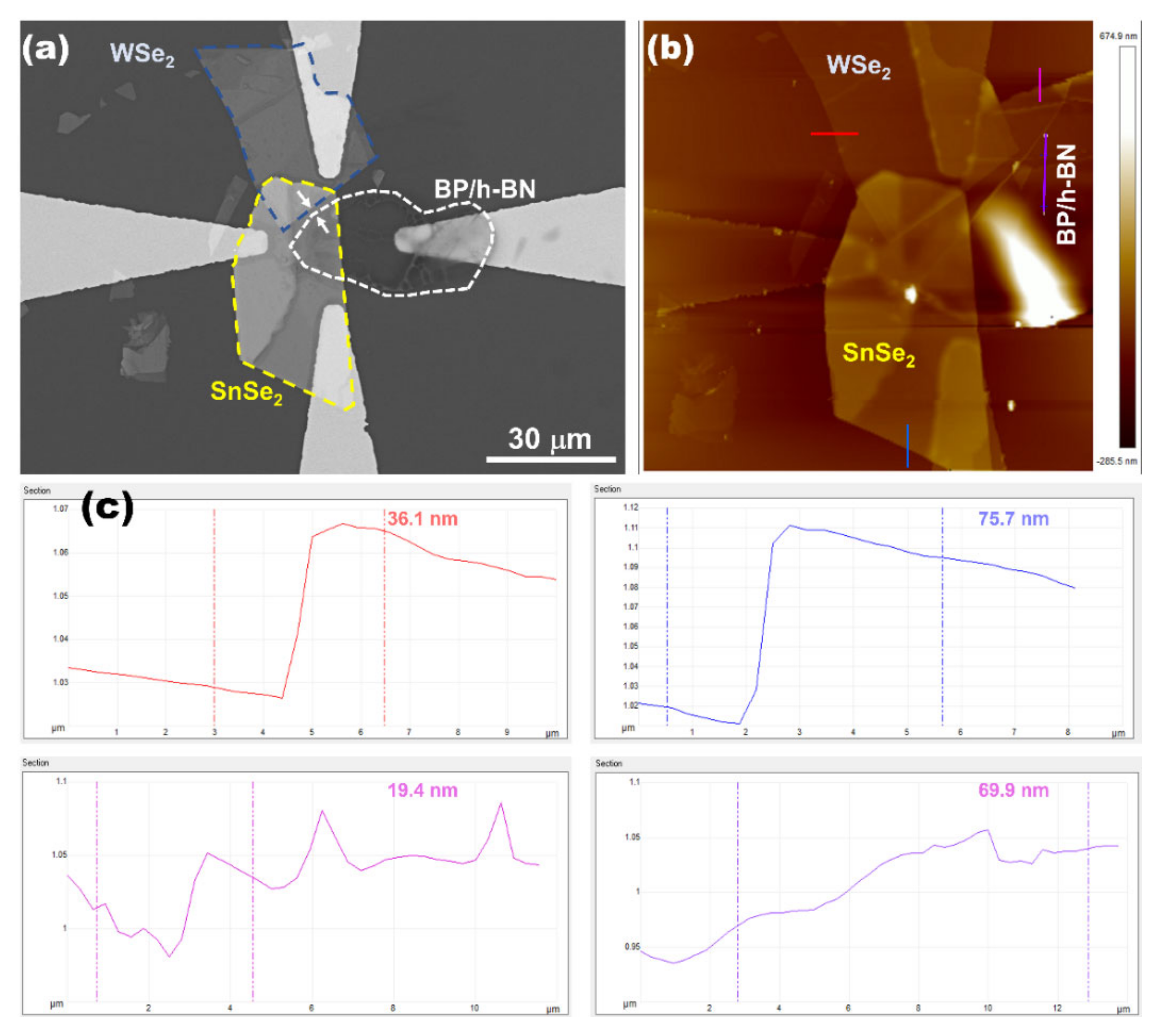 Electronics 11 00833 g002