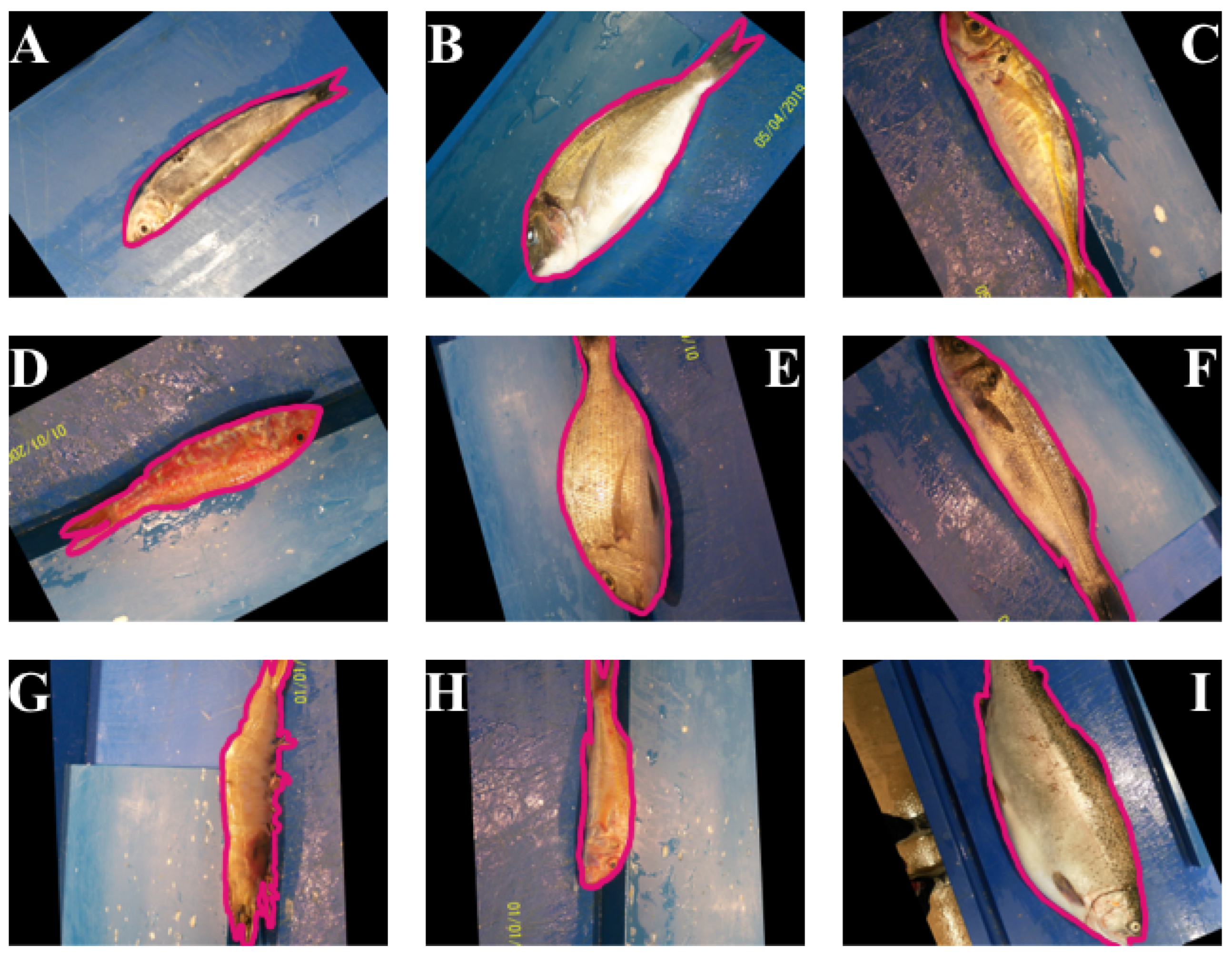 Electronics 11 00911 g002
