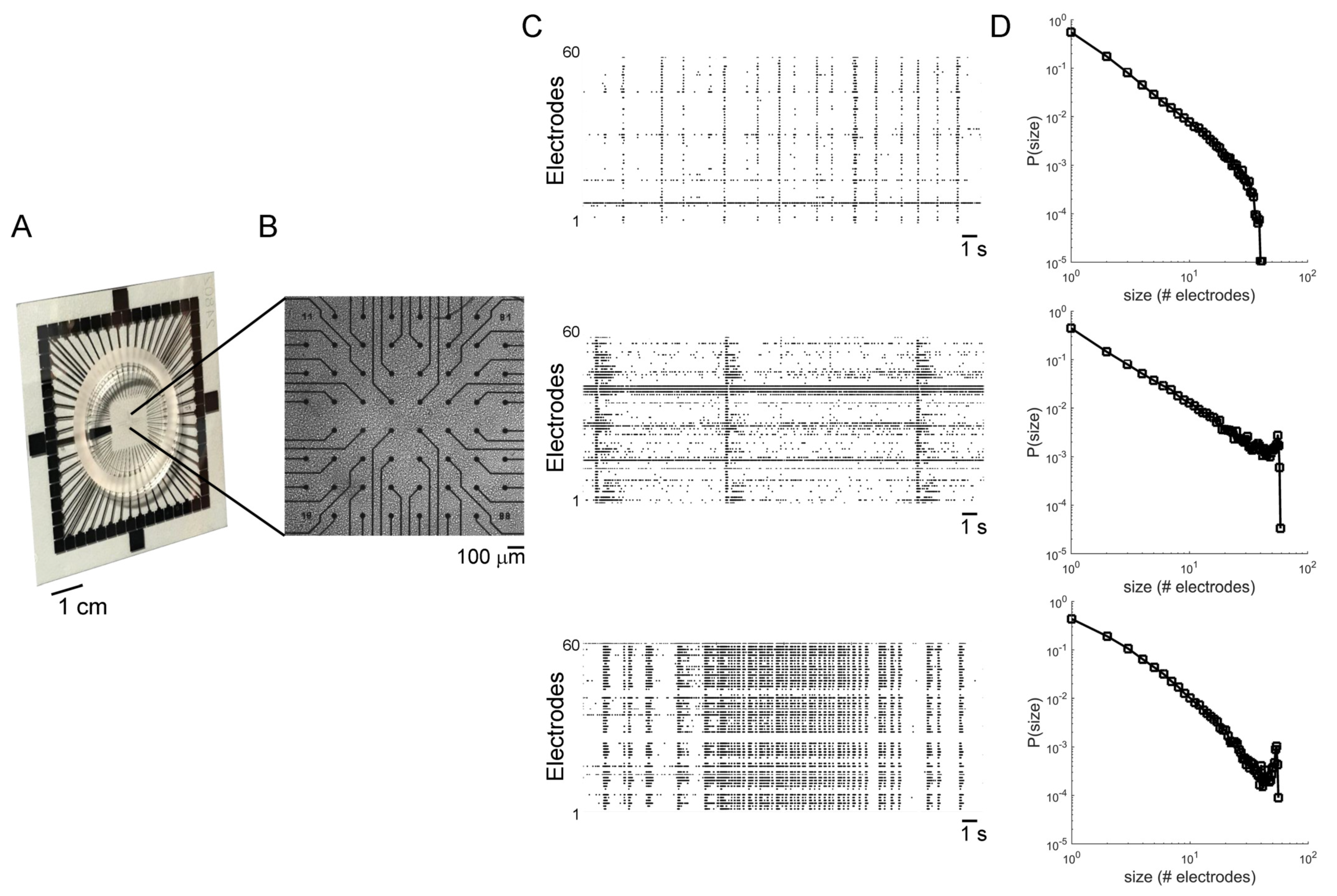 Electronics 11 00936 g001