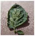 Electronics 11 00951 i002