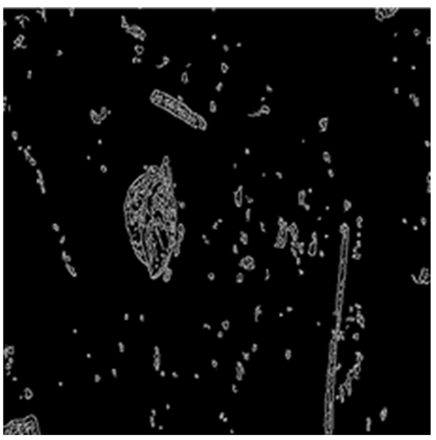 Electronics 11 00974 g006