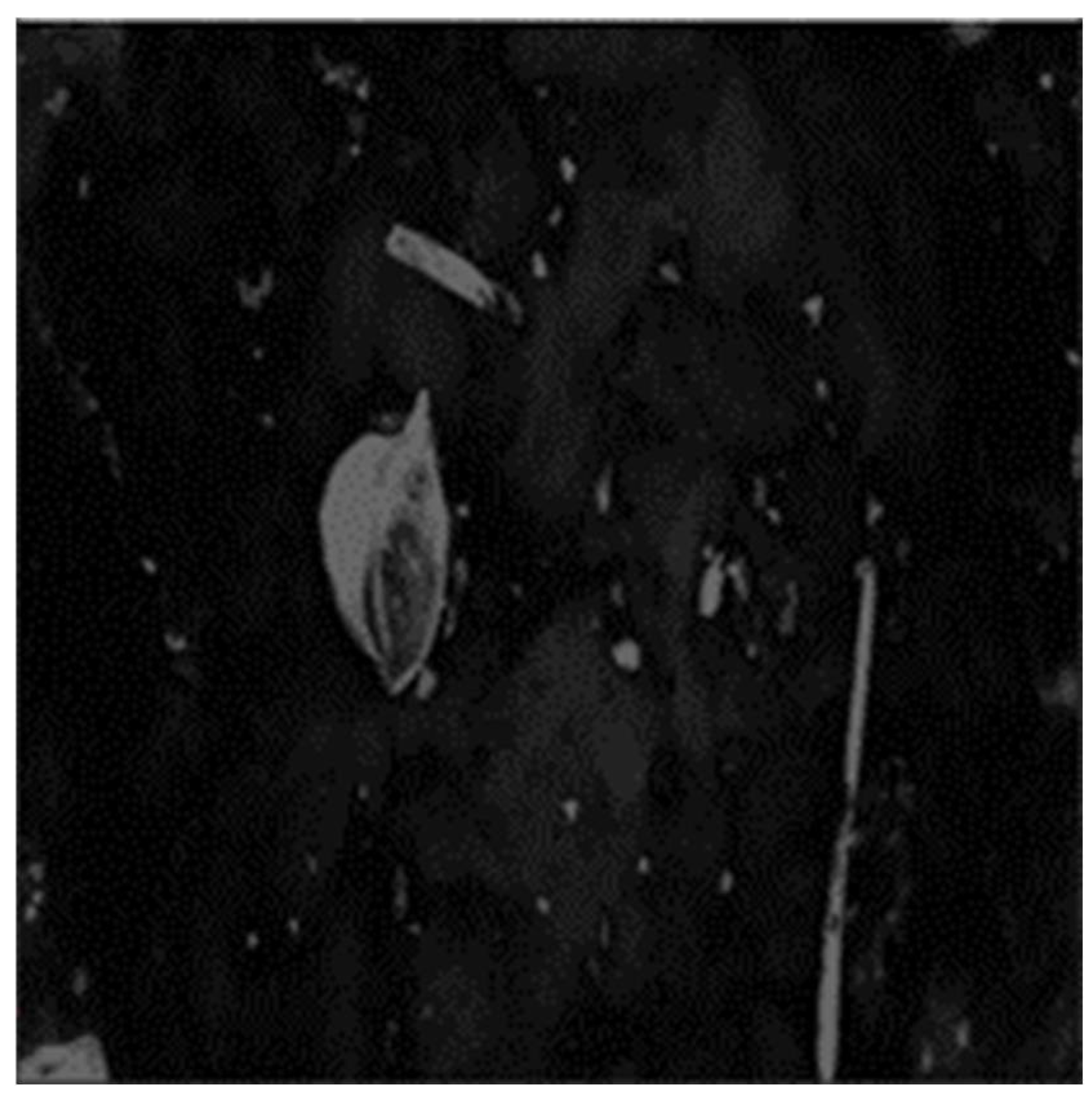 Electronics 11 00974 g007