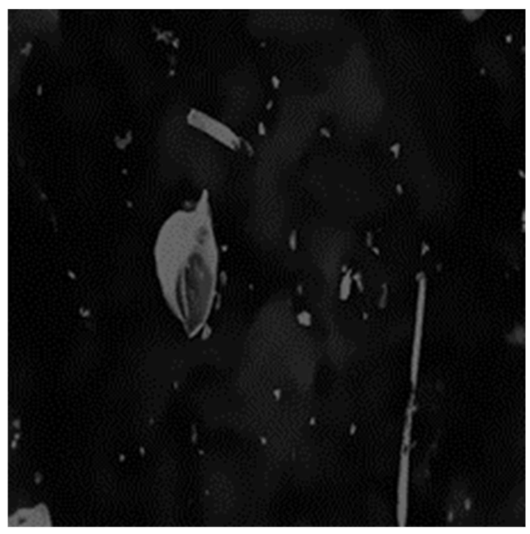 Electronics 11 00974 g008