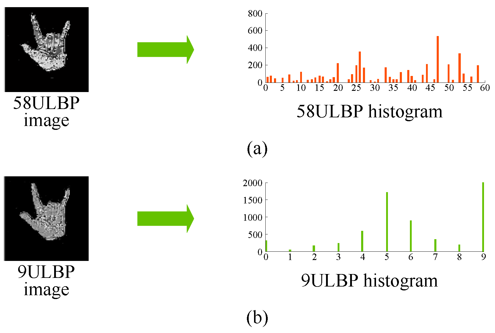 Electronics 11 00988 g007