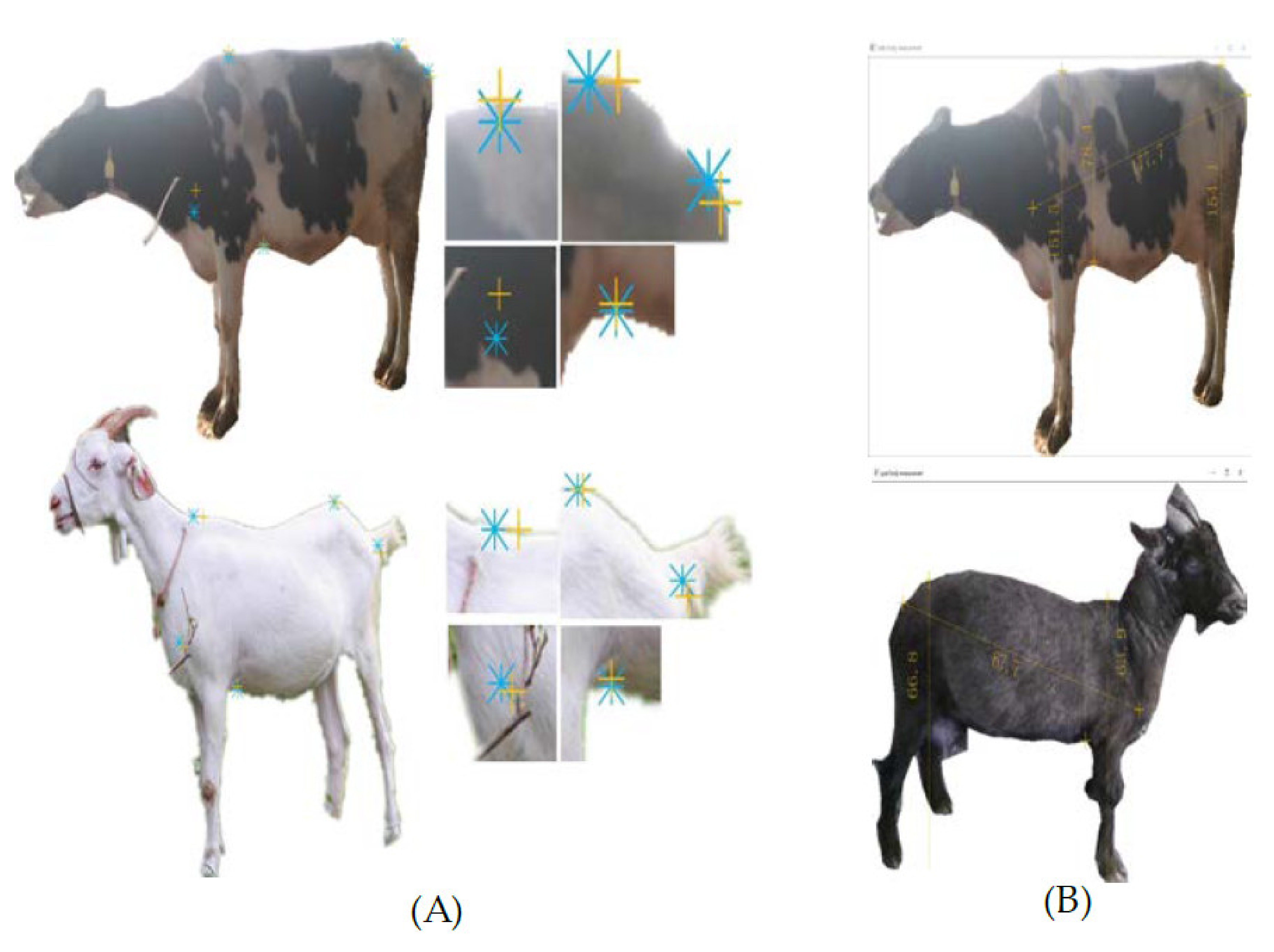 Electronics 11 00993 g014