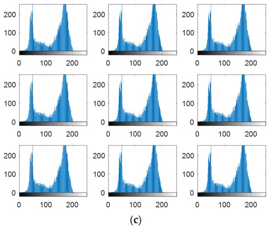 Electronics 11 01040 g005b 550
