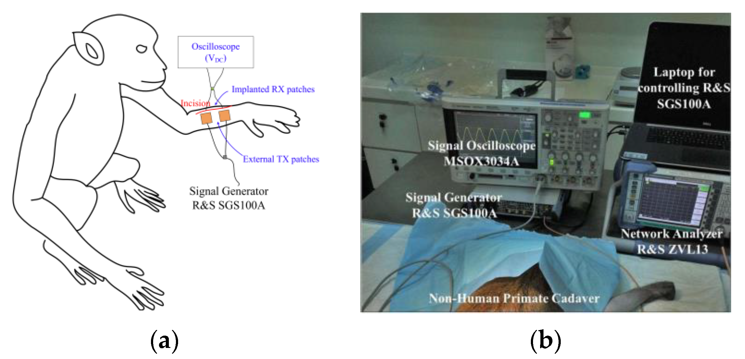 Electronics 11 01158 g008