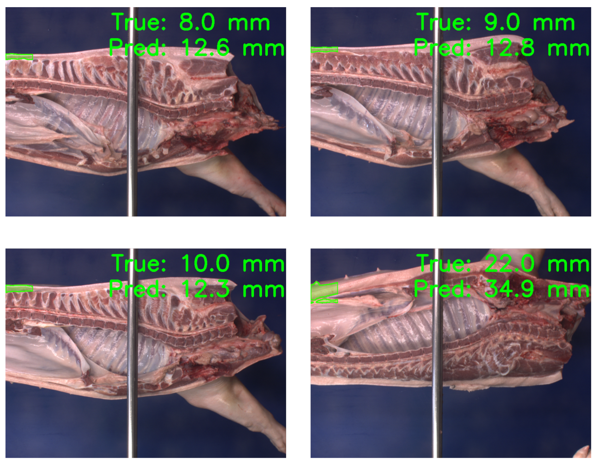 Electronics 11 01296 g006