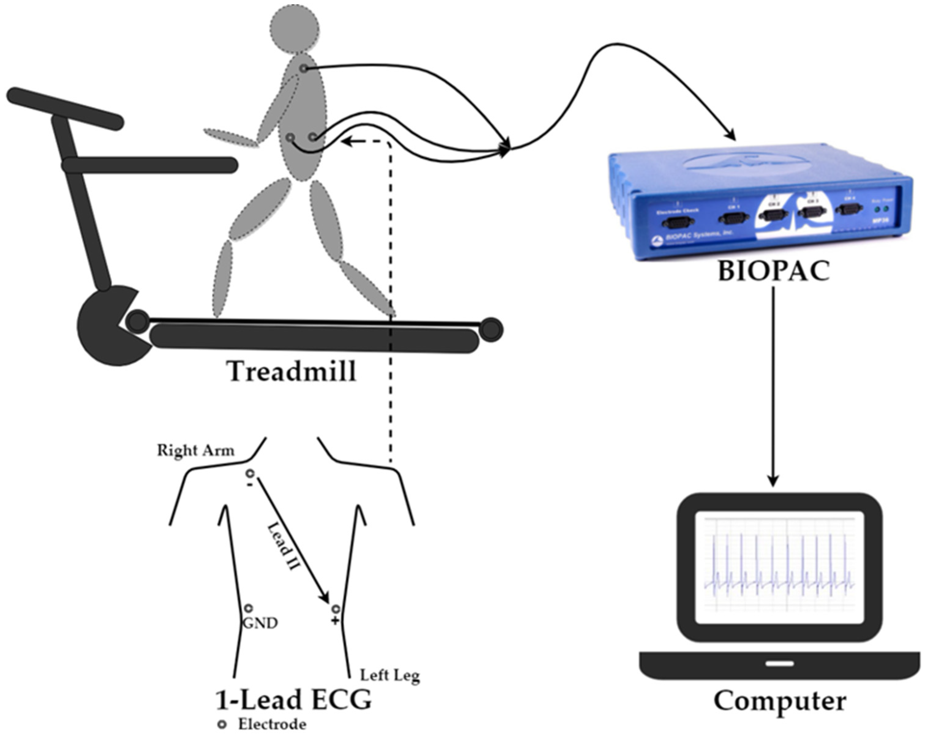 Electronics 11 01310 g003