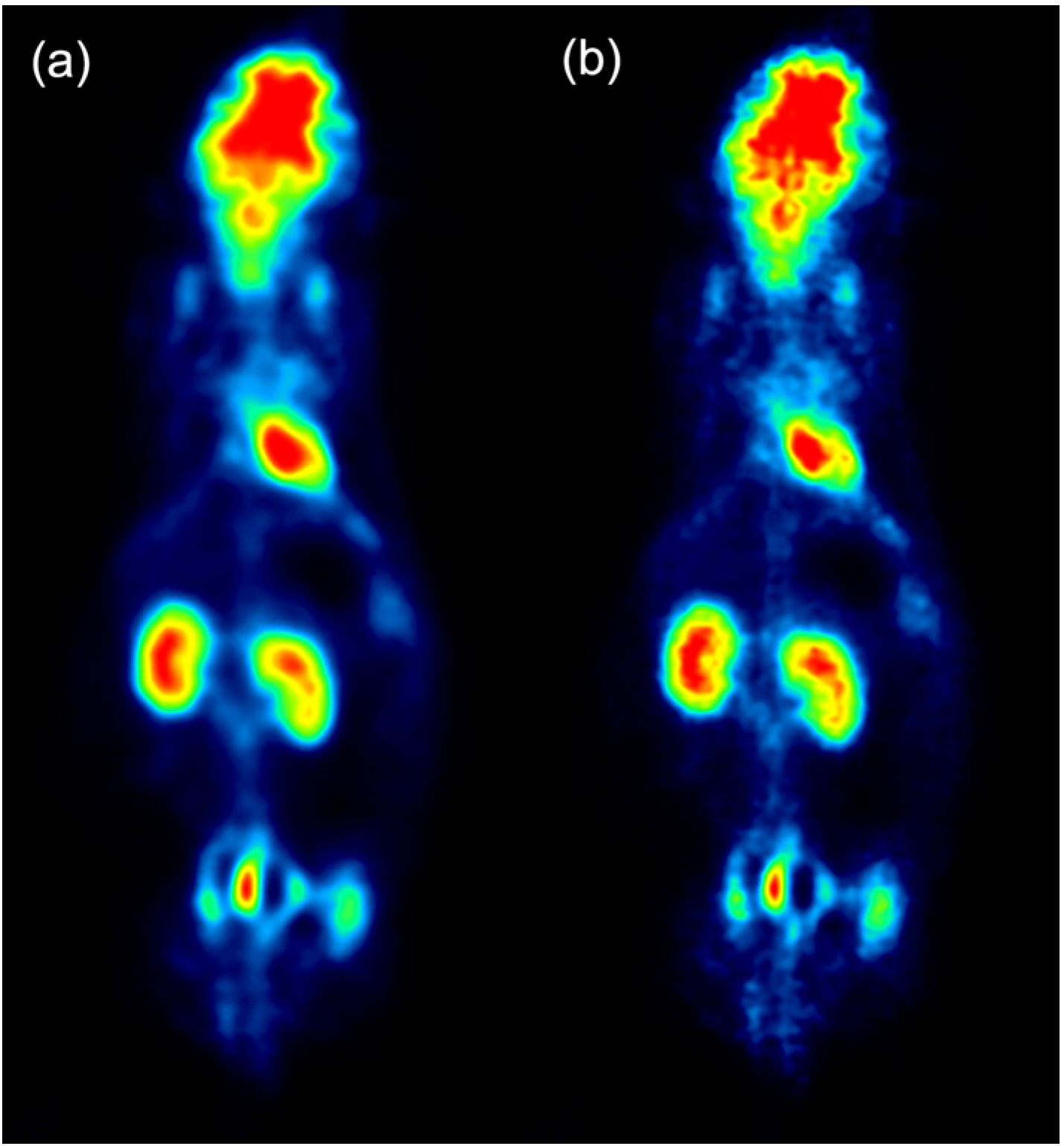 Electronics 11 01542 g009