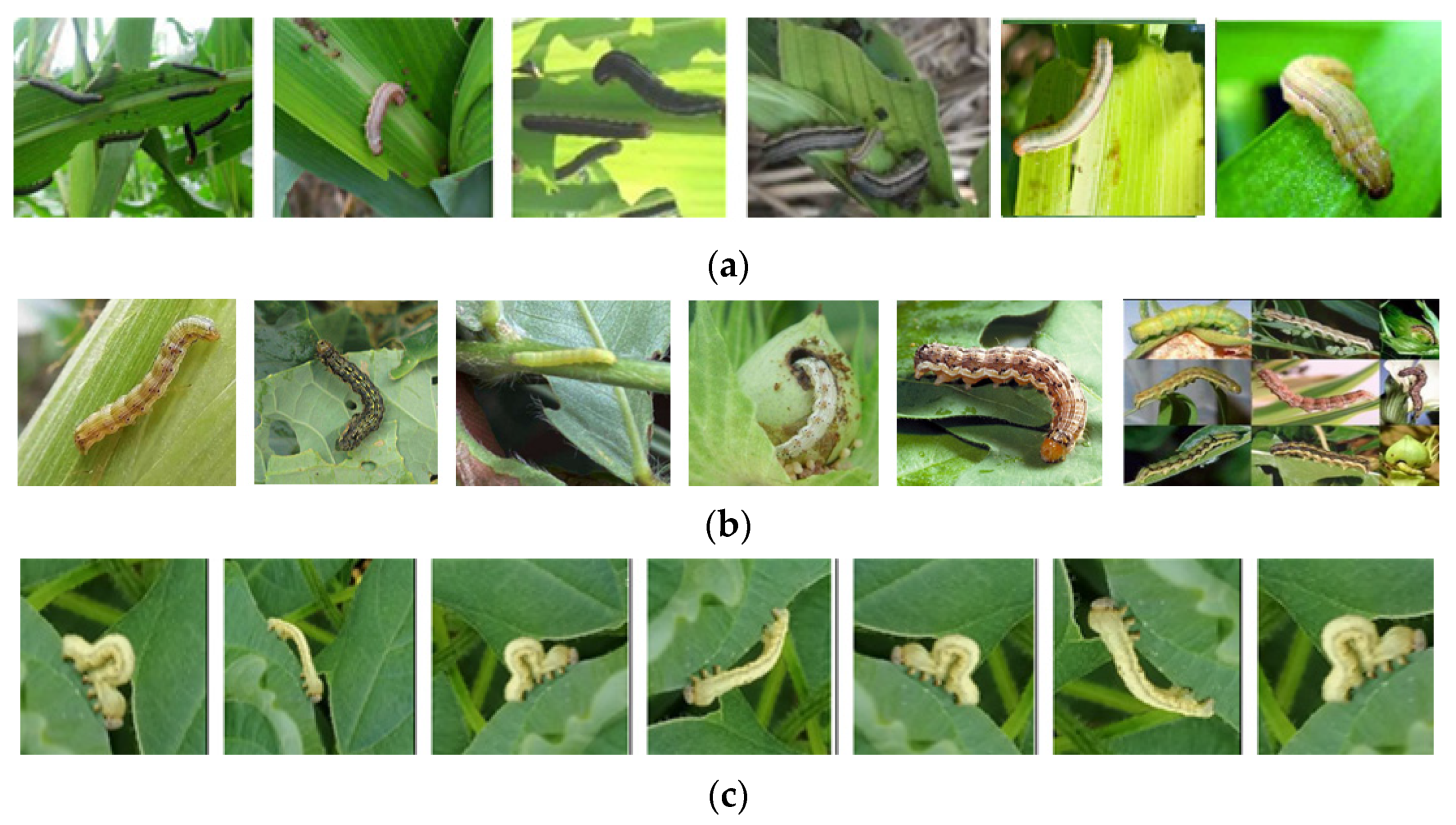 Electronics 11 01630 g001