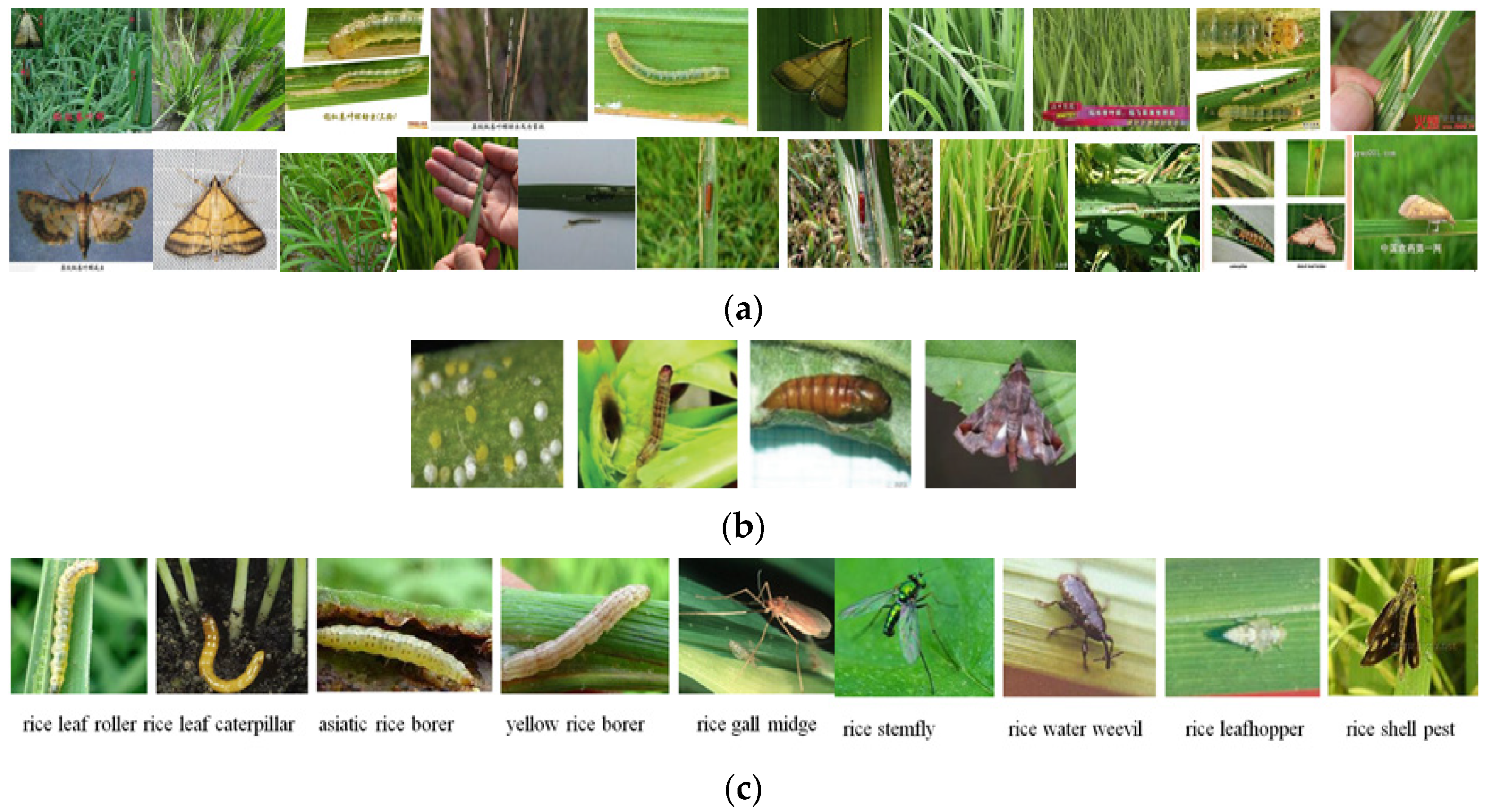 Electronics 11 01630 g006
