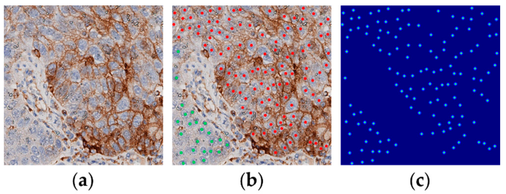 Electronics 11 01642 g001