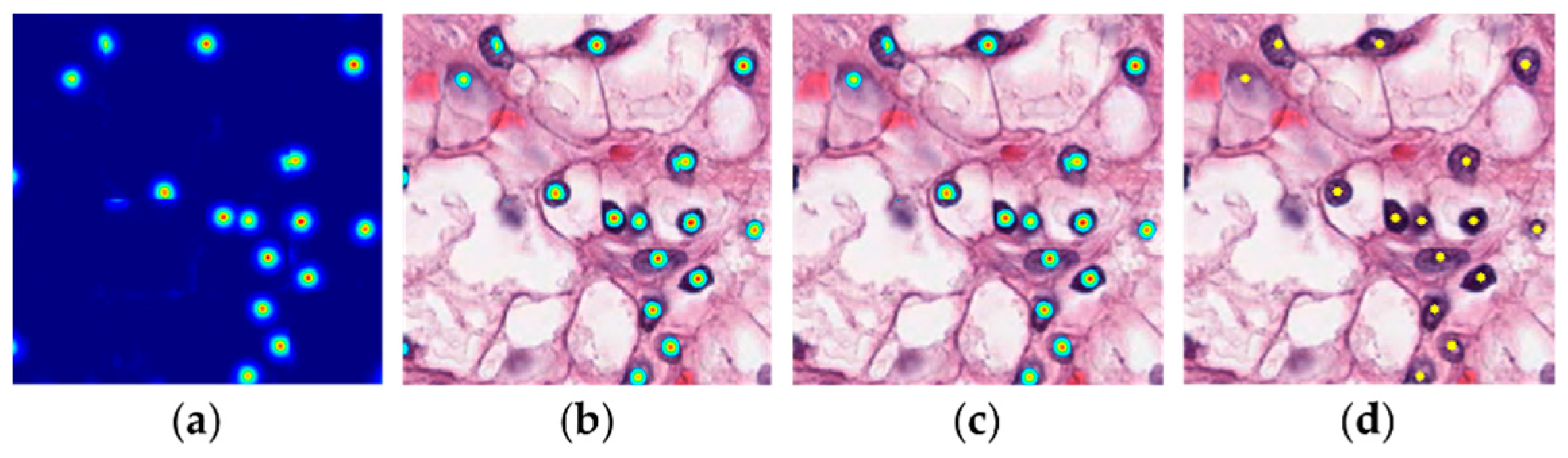 Electronics 11 01642 g005
