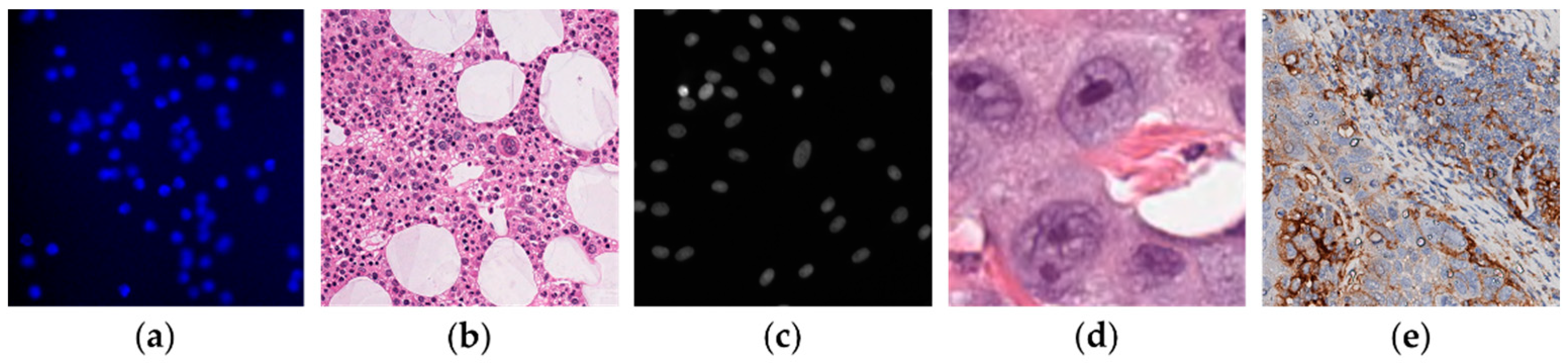 Electronics 11 01642 g007