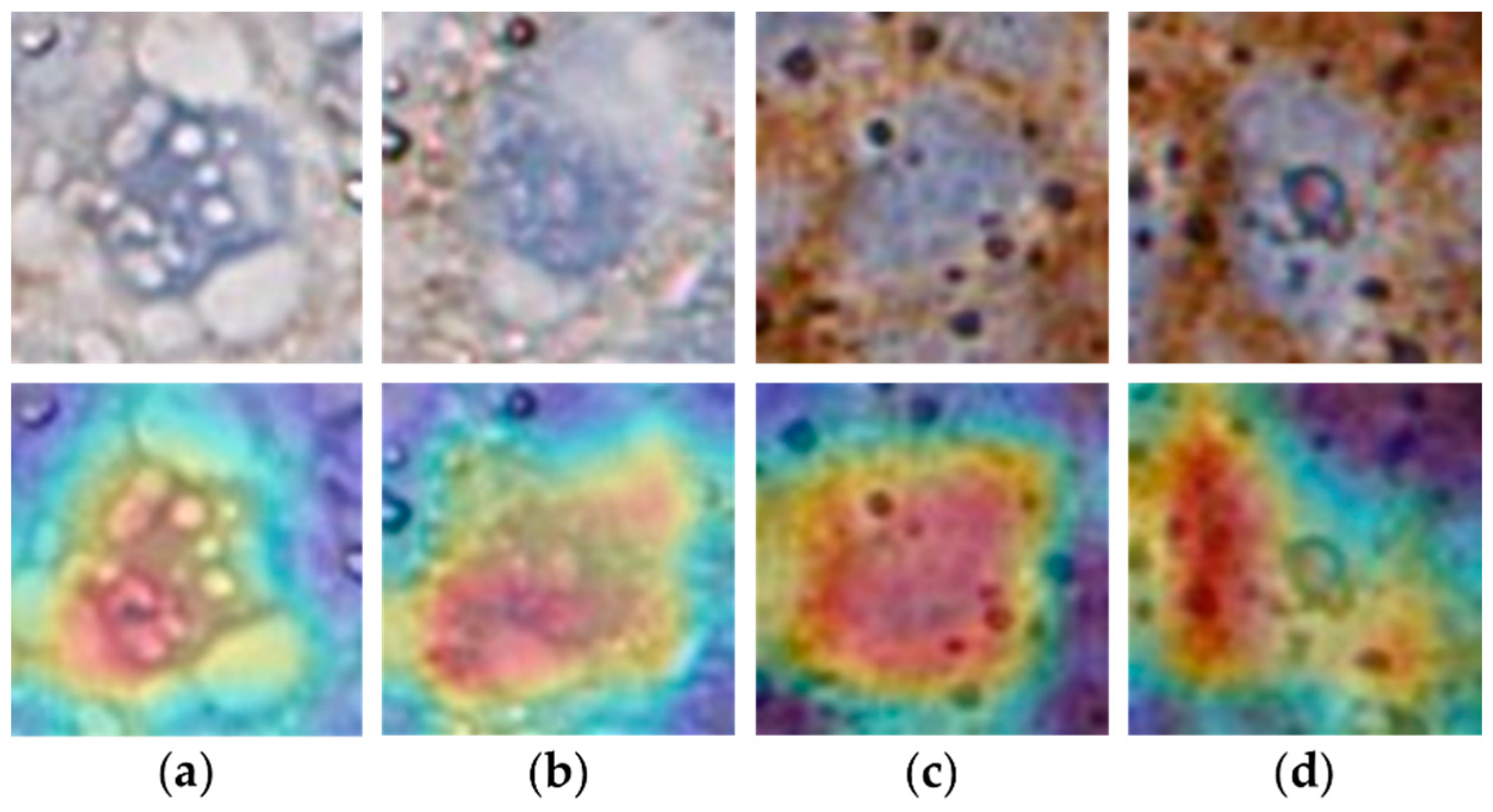 Electronics 11 01642 g010