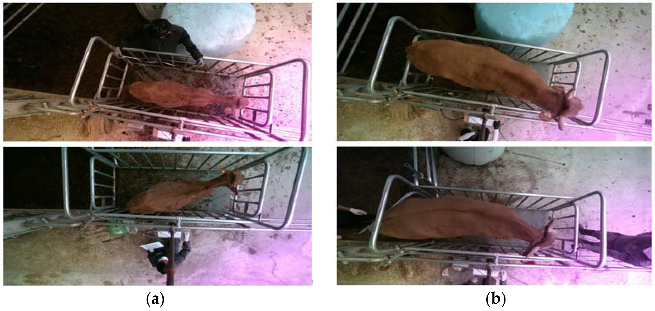 Electronics 11 01663 g001