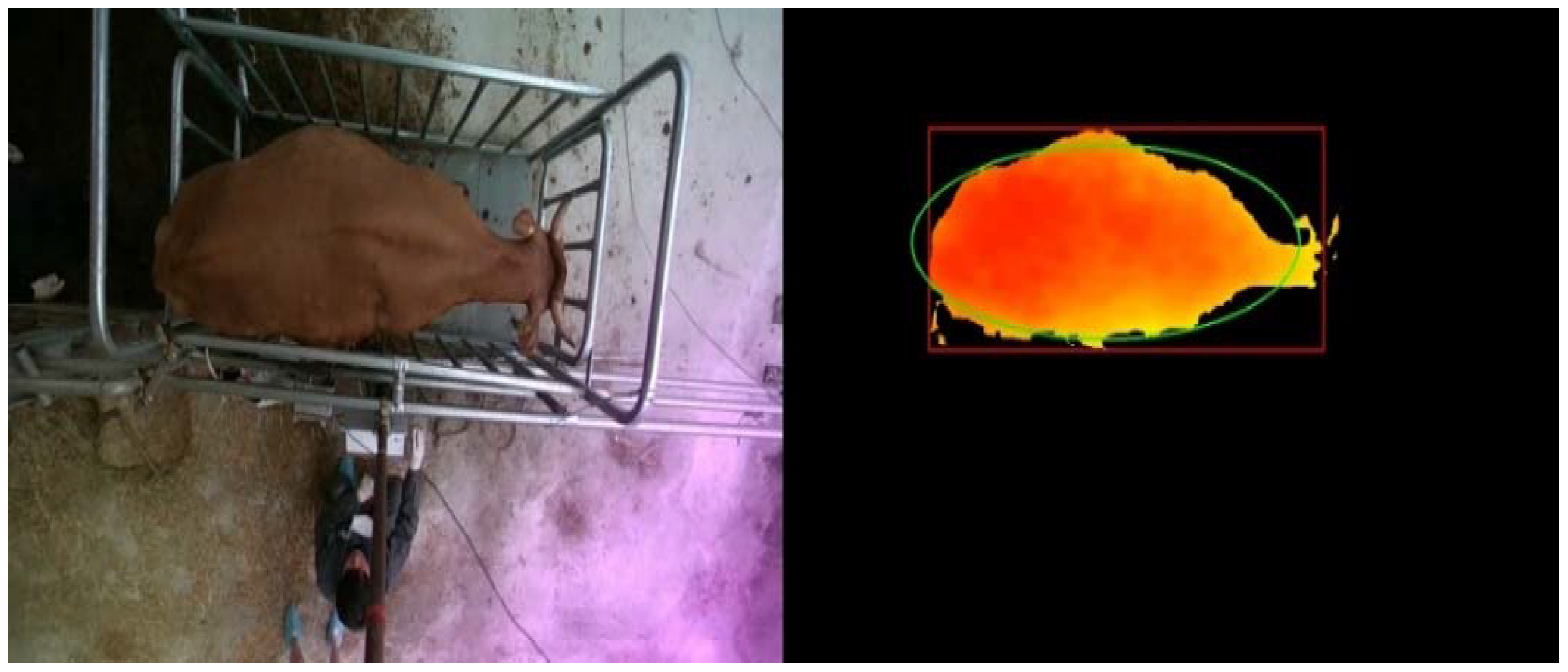 Electronics 11 01663 g006