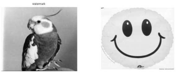 Electronics 11 01849 g005