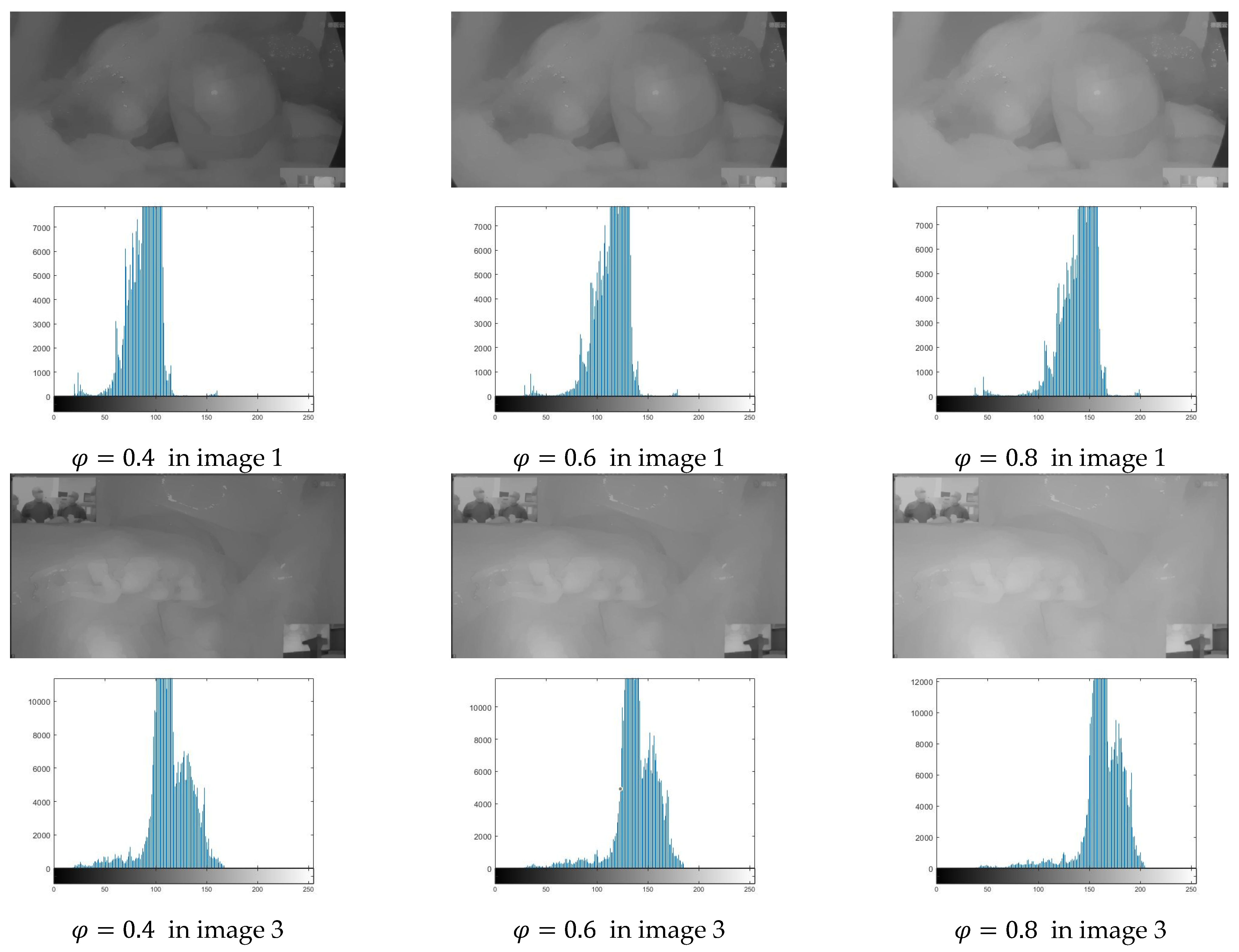 Electronics 11 01909 g009