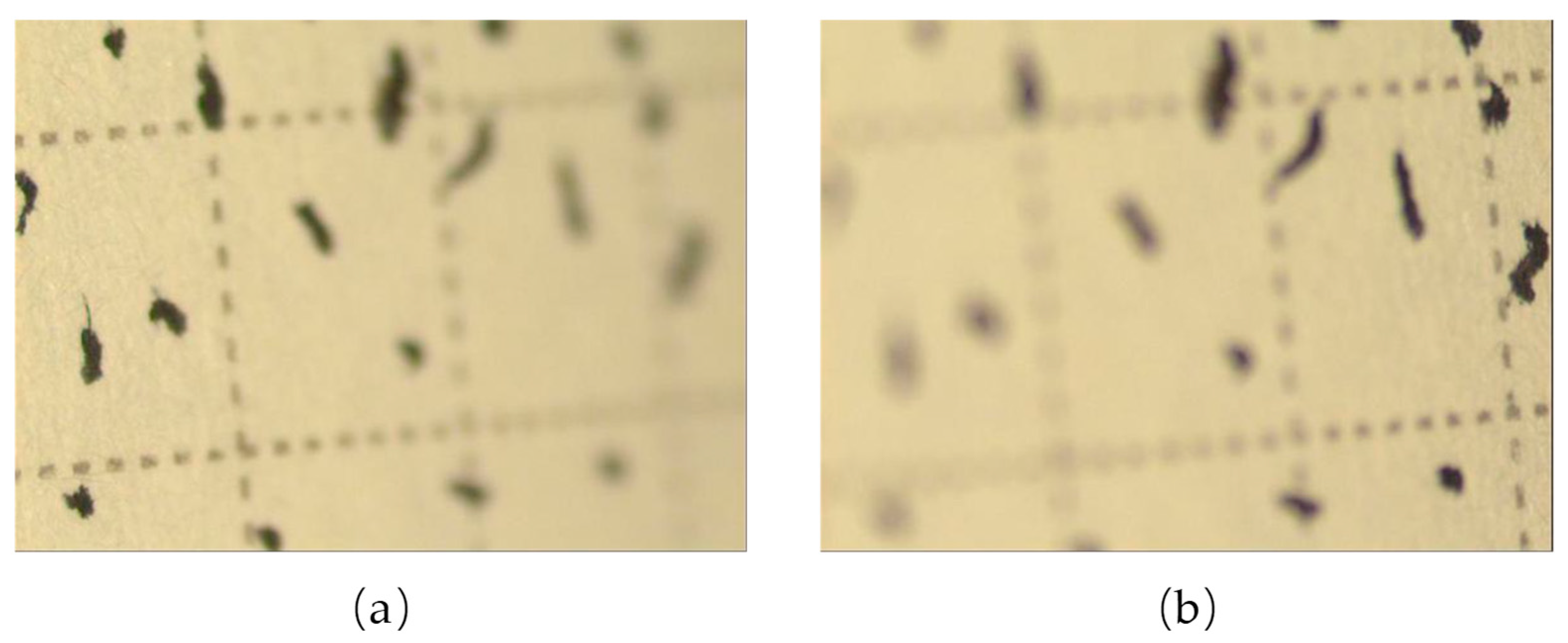 Electronics 11 02012 g005