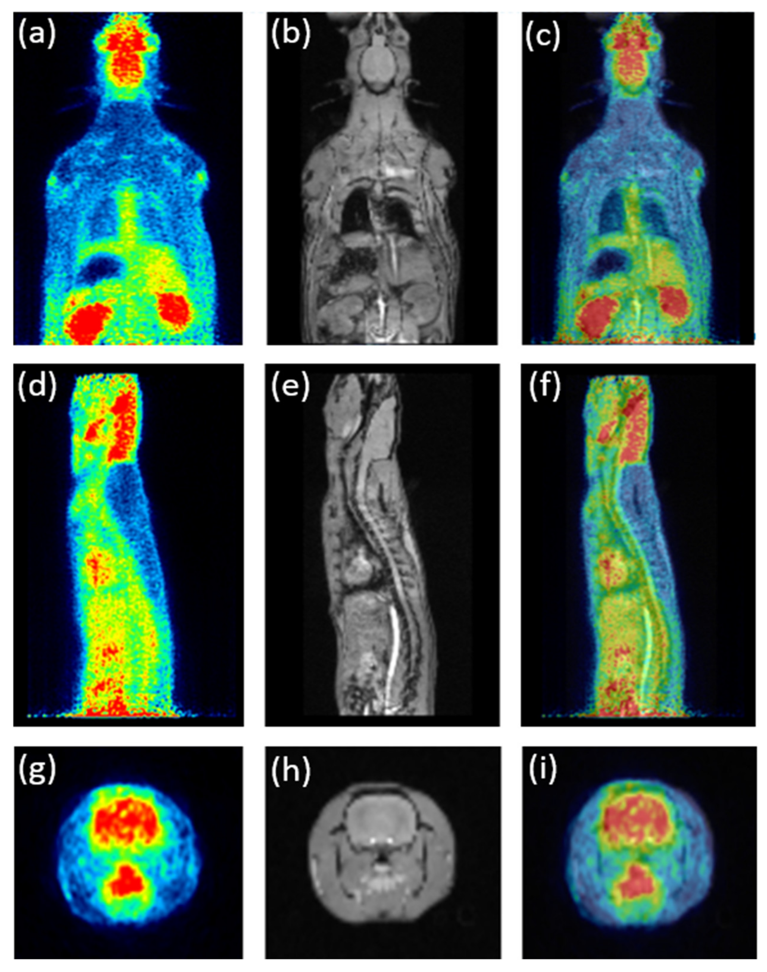 Electronics 11 02194 g011