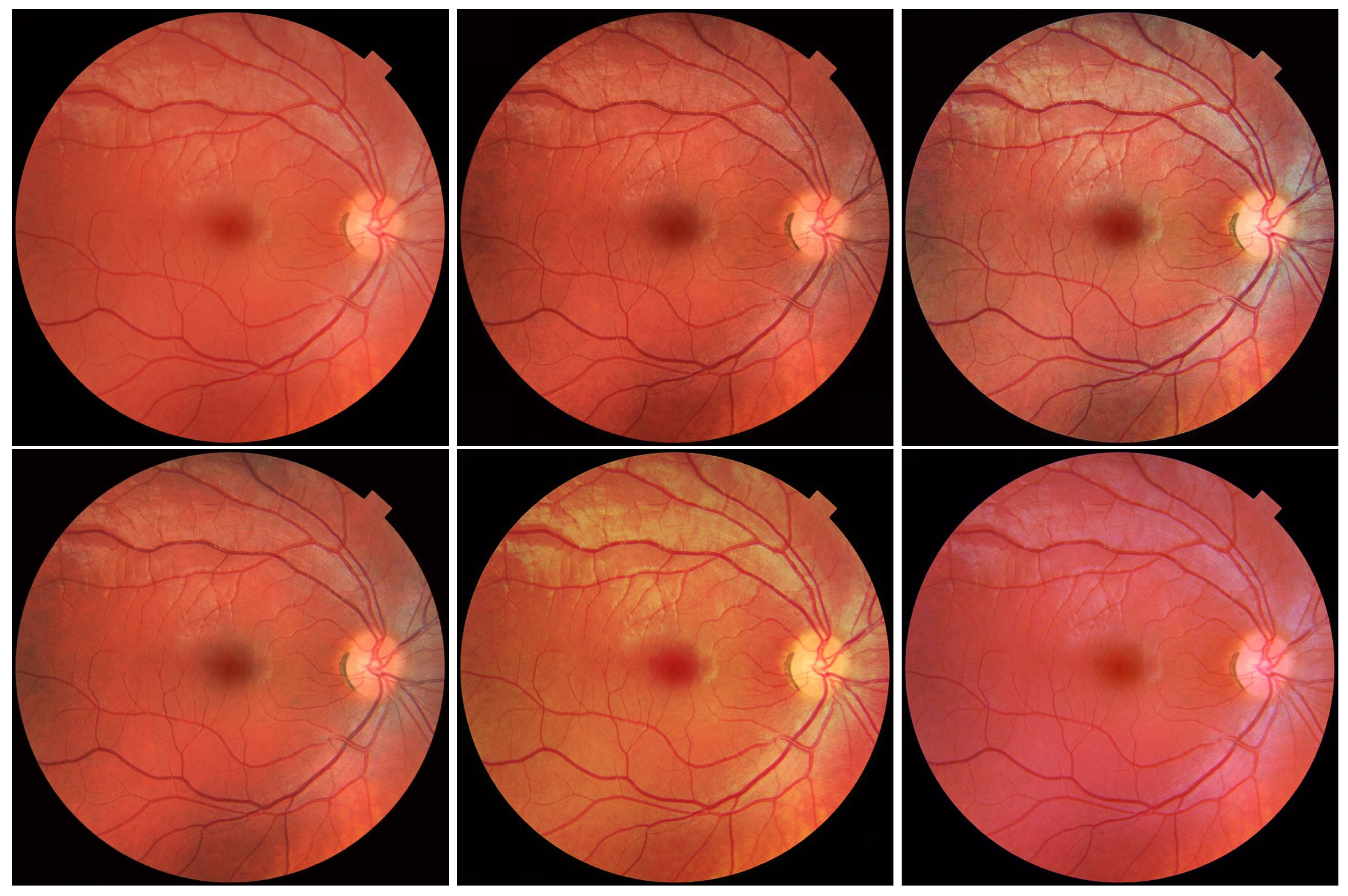 Electronics 11 02248 g019