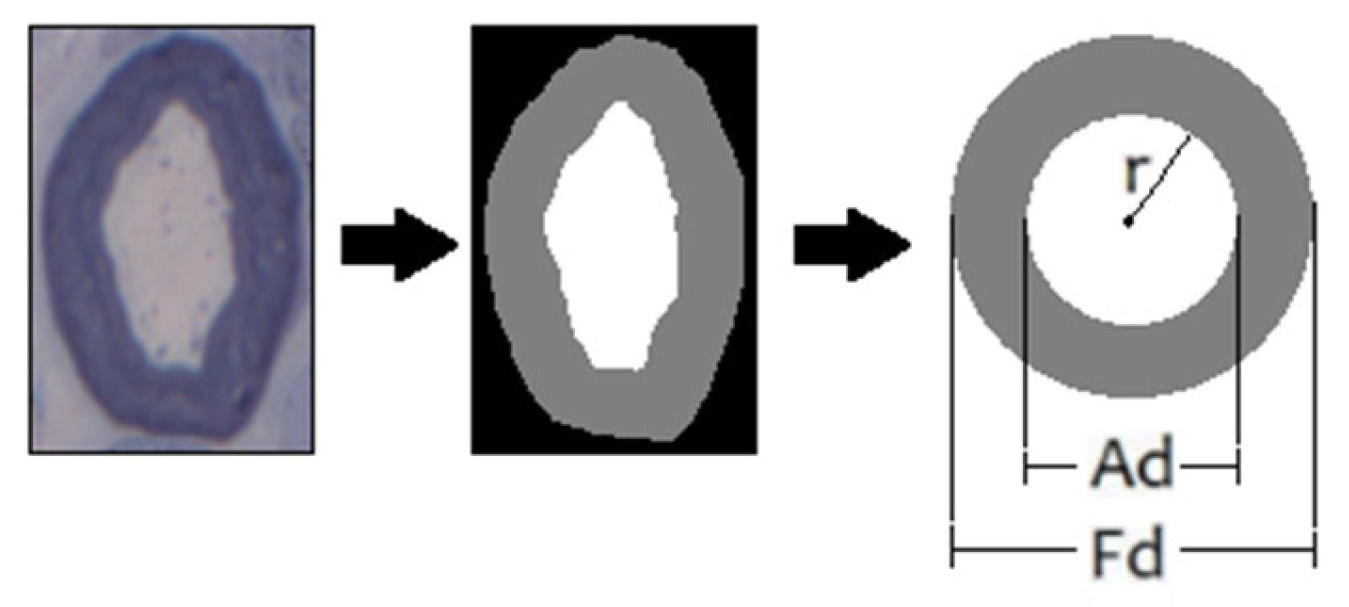 Electronics 11 02277 g003