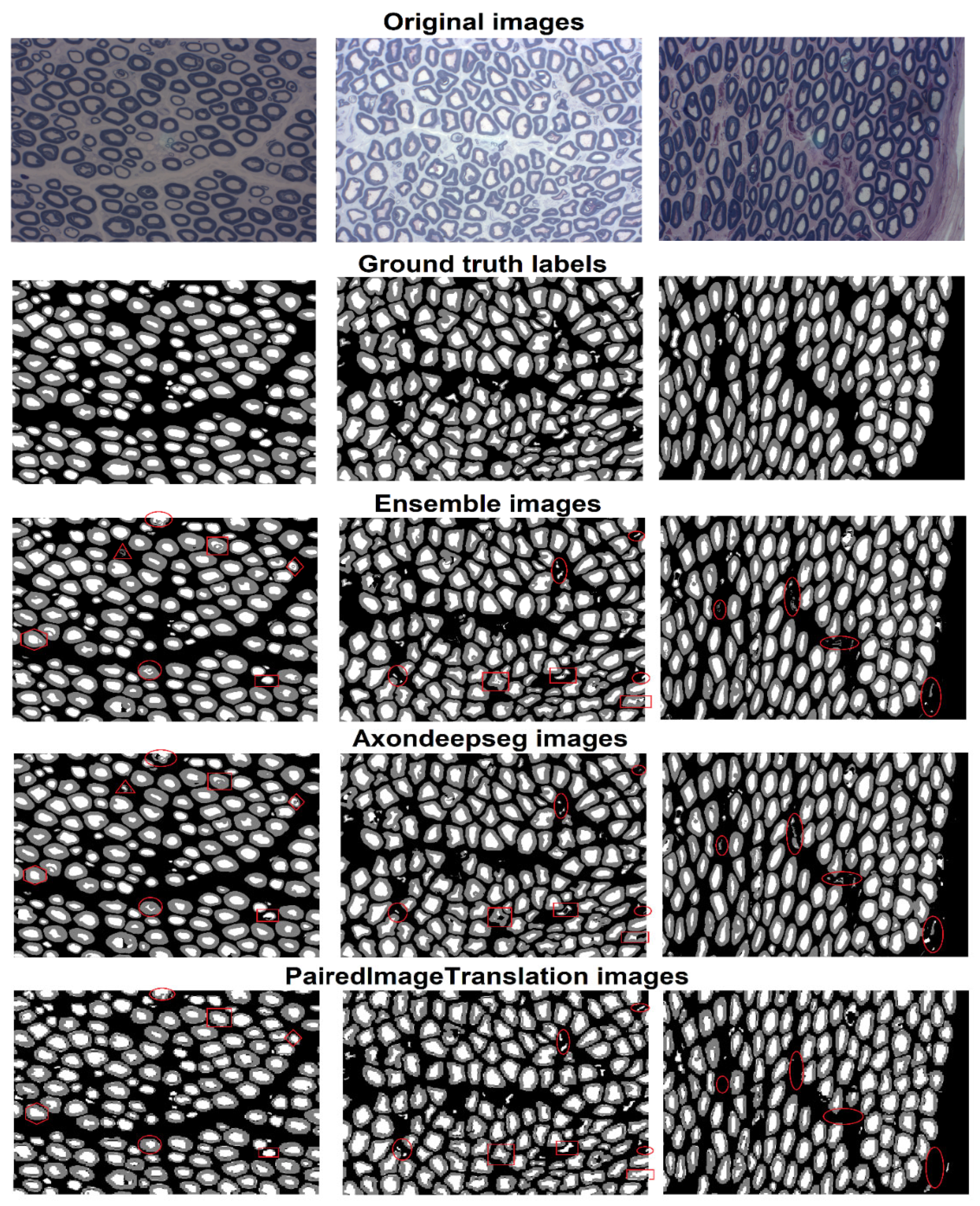 Electronics 11 02277 g005