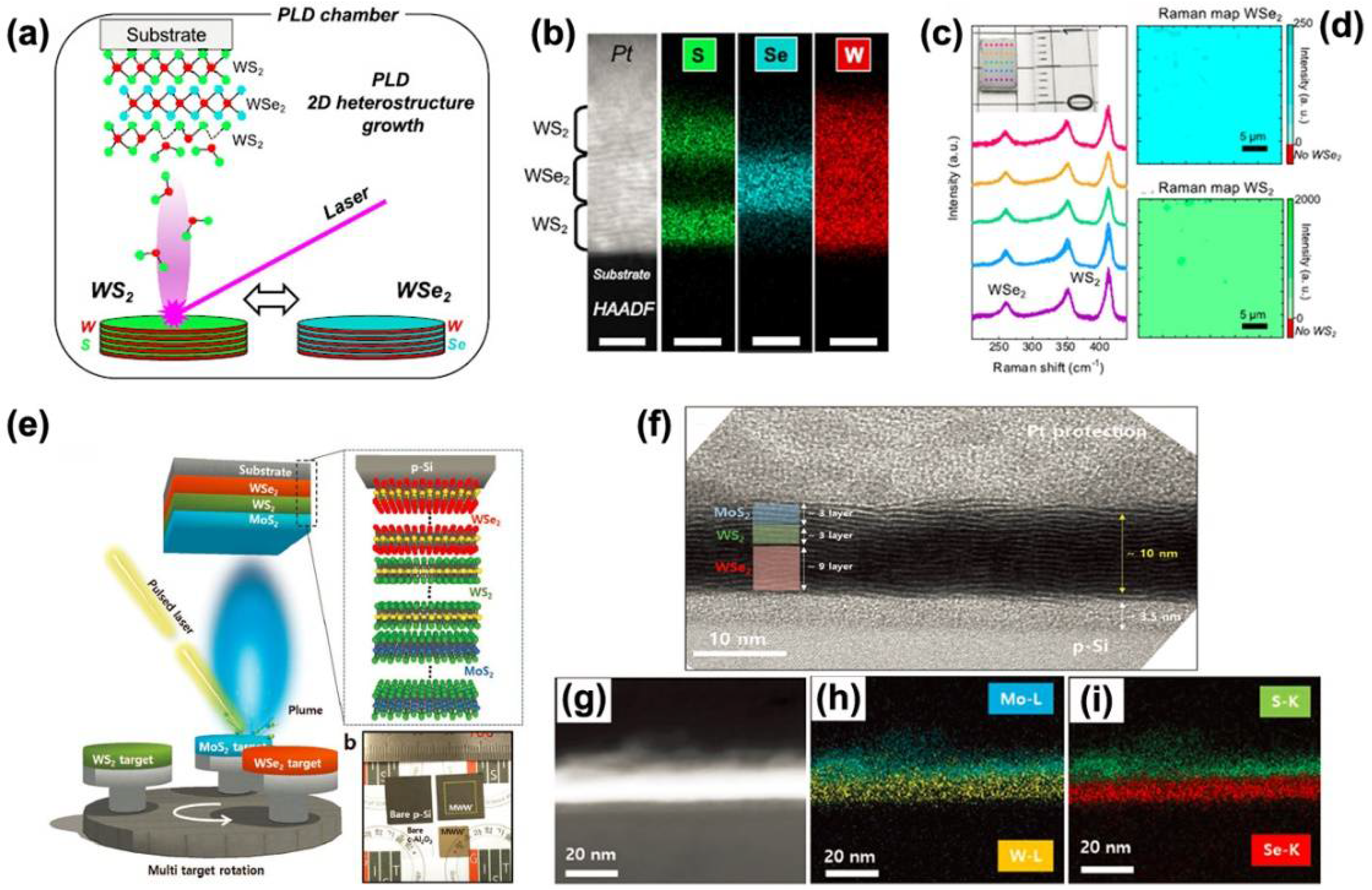Electronics 11 02401 g005