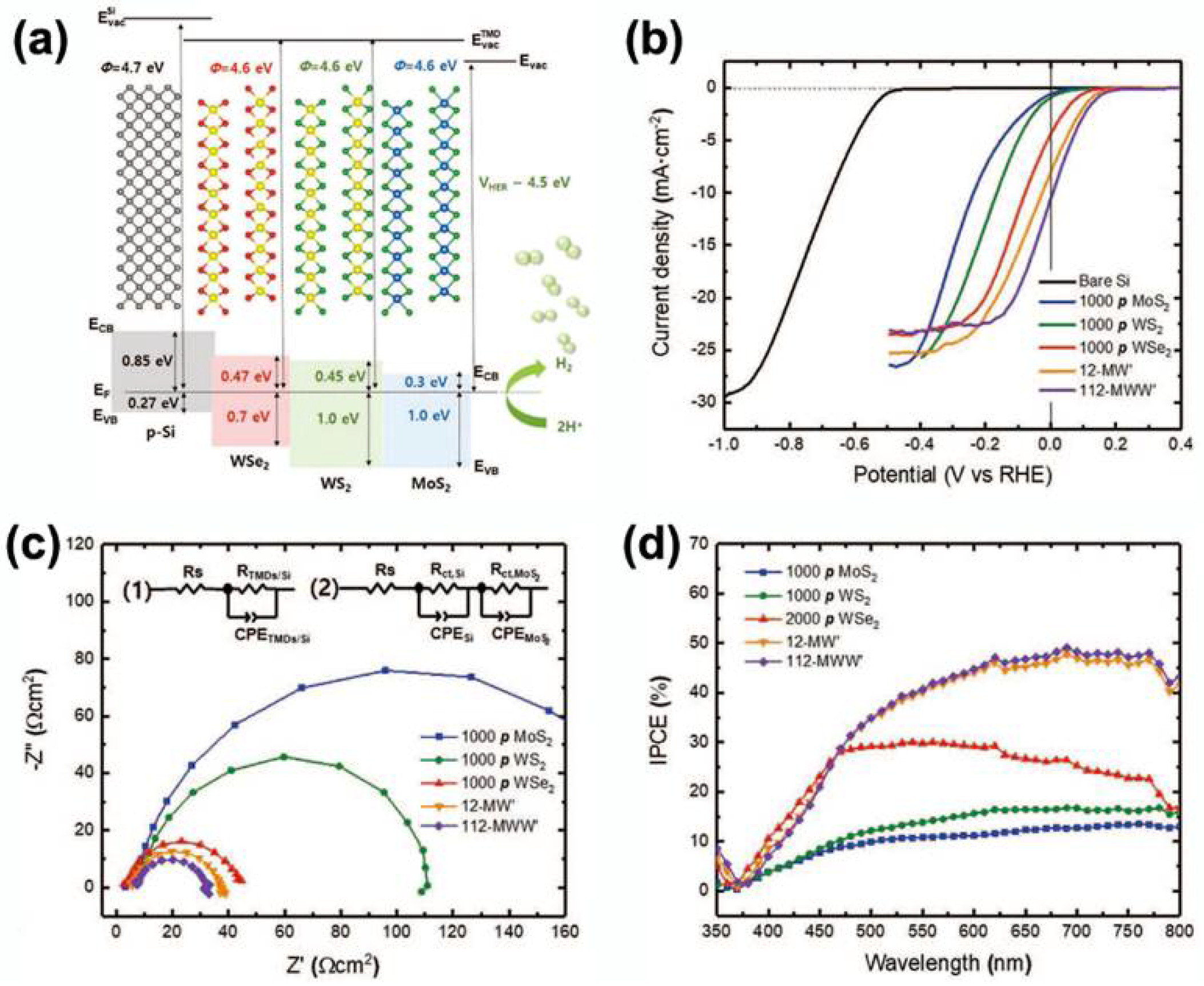 Electronics 11 02401 g009