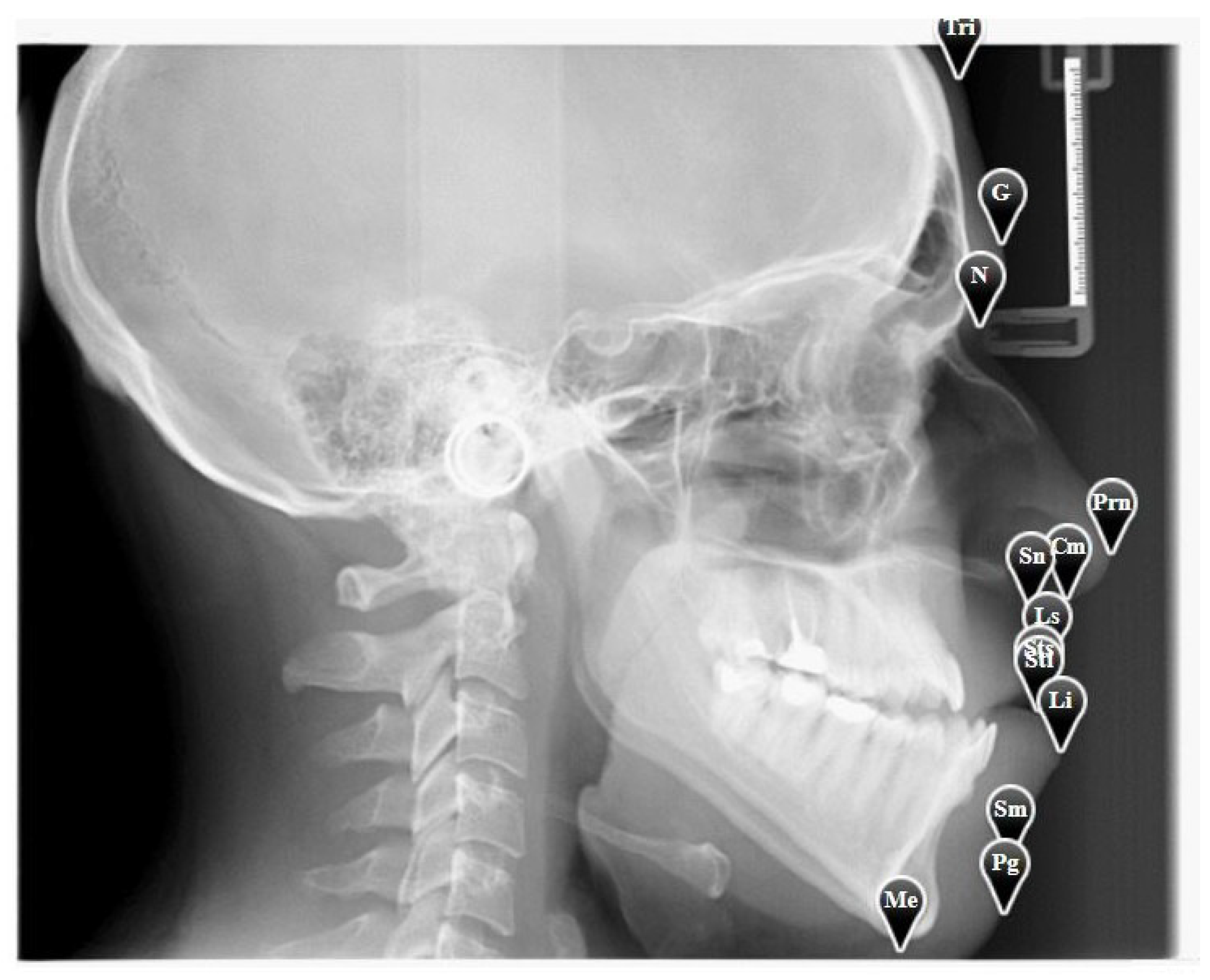 Electronics 11 02408 g004