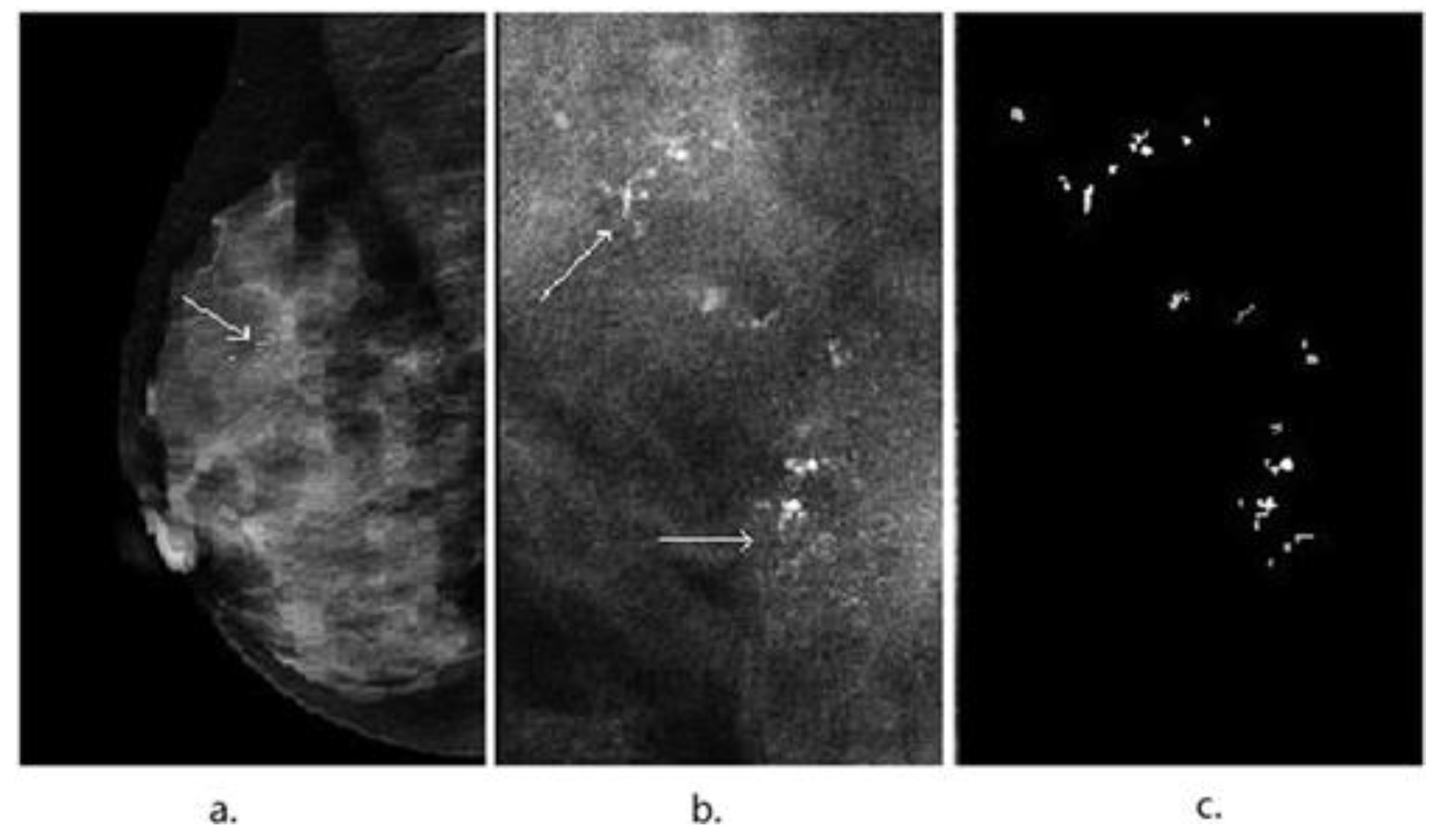 Electronics 11 02435 g002