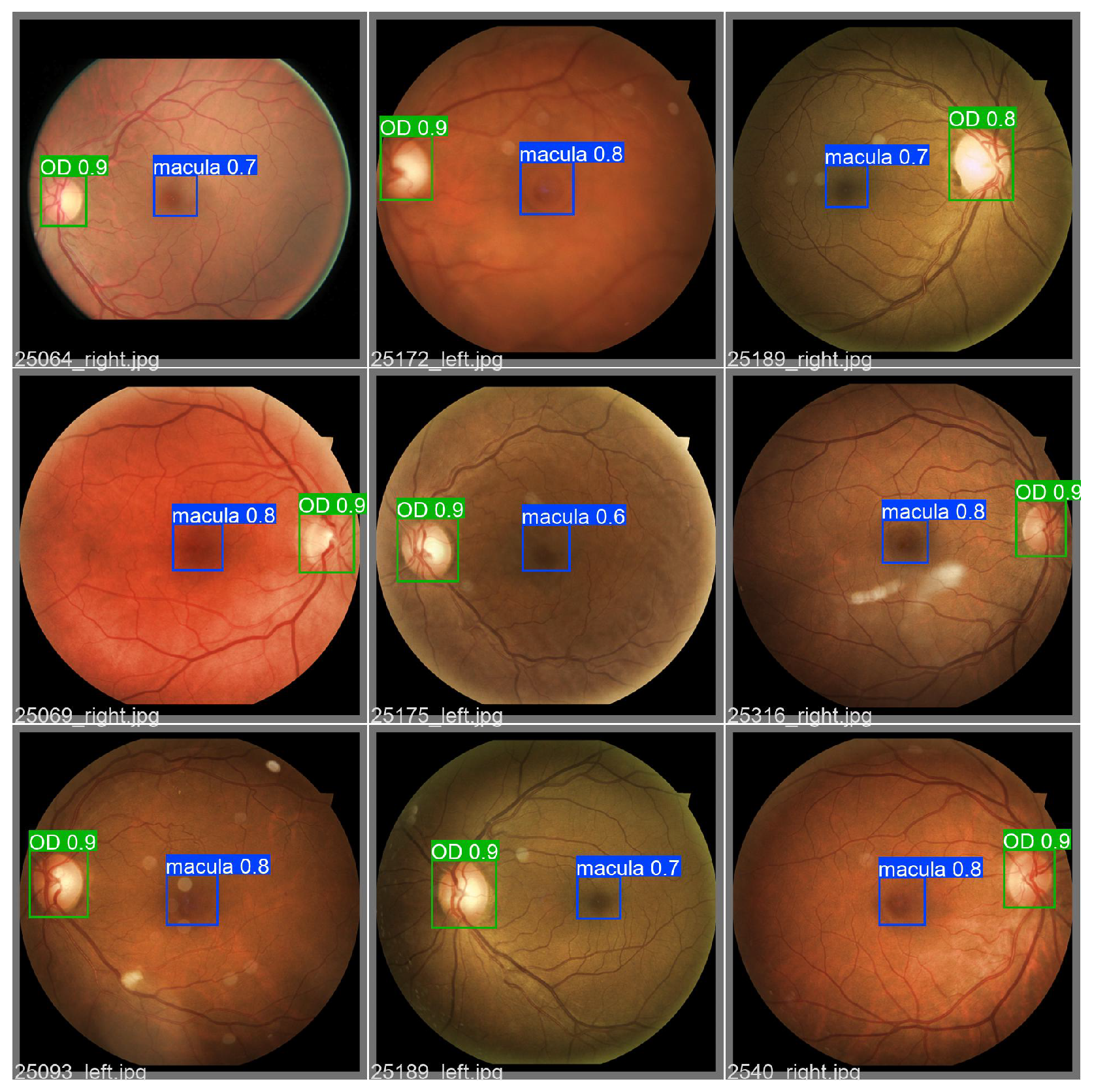 Electronics 11 02564 g012