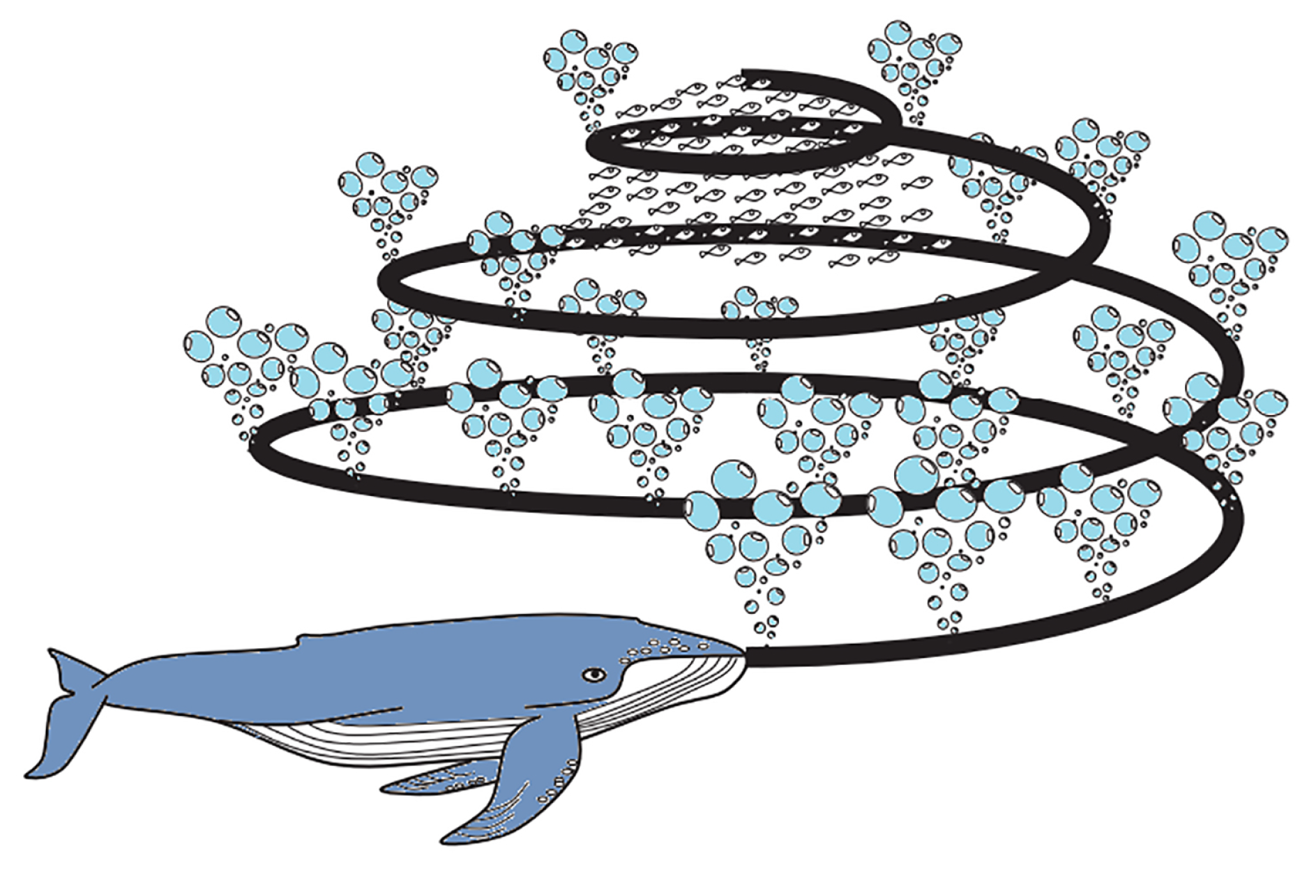 Electronics 11 02610 g008