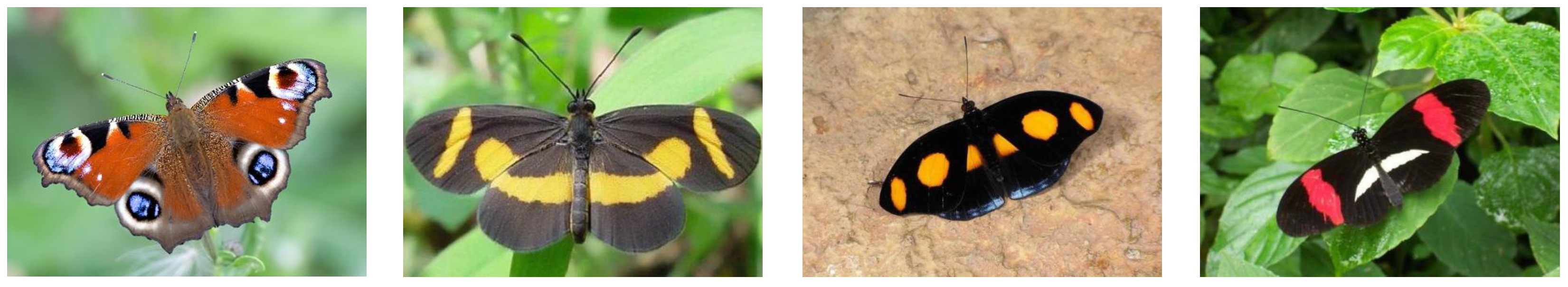 Electronics 11 02701 g001