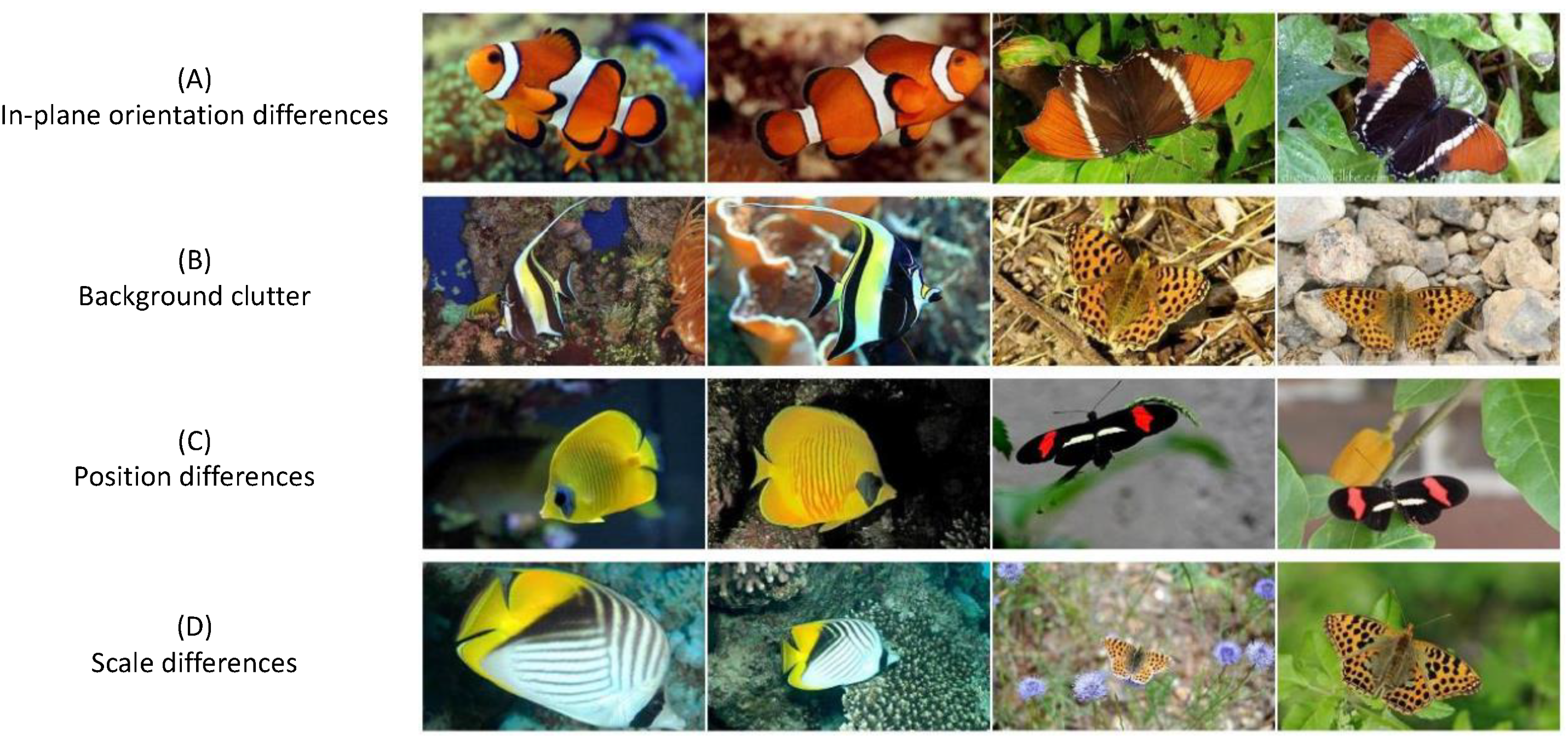 Electronics 11 02701 g002