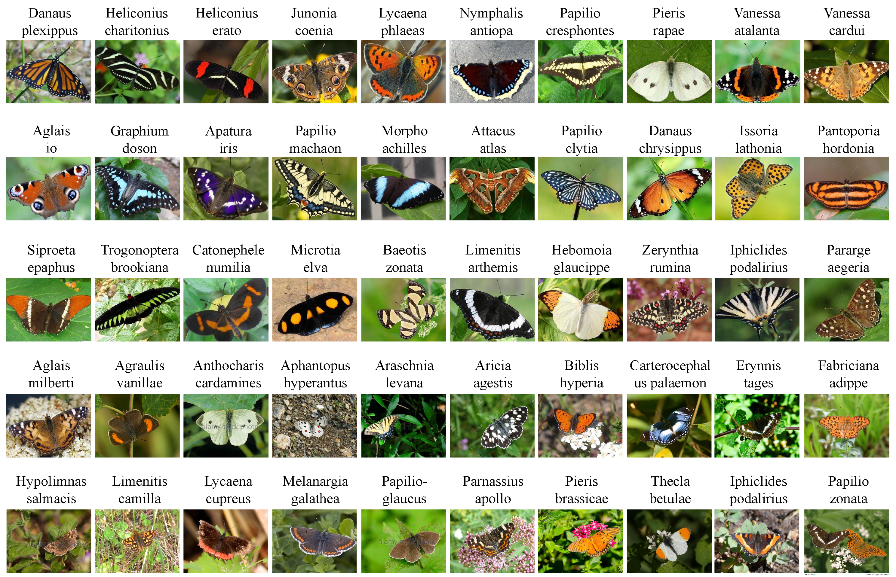 Electronics 11 02701 g003