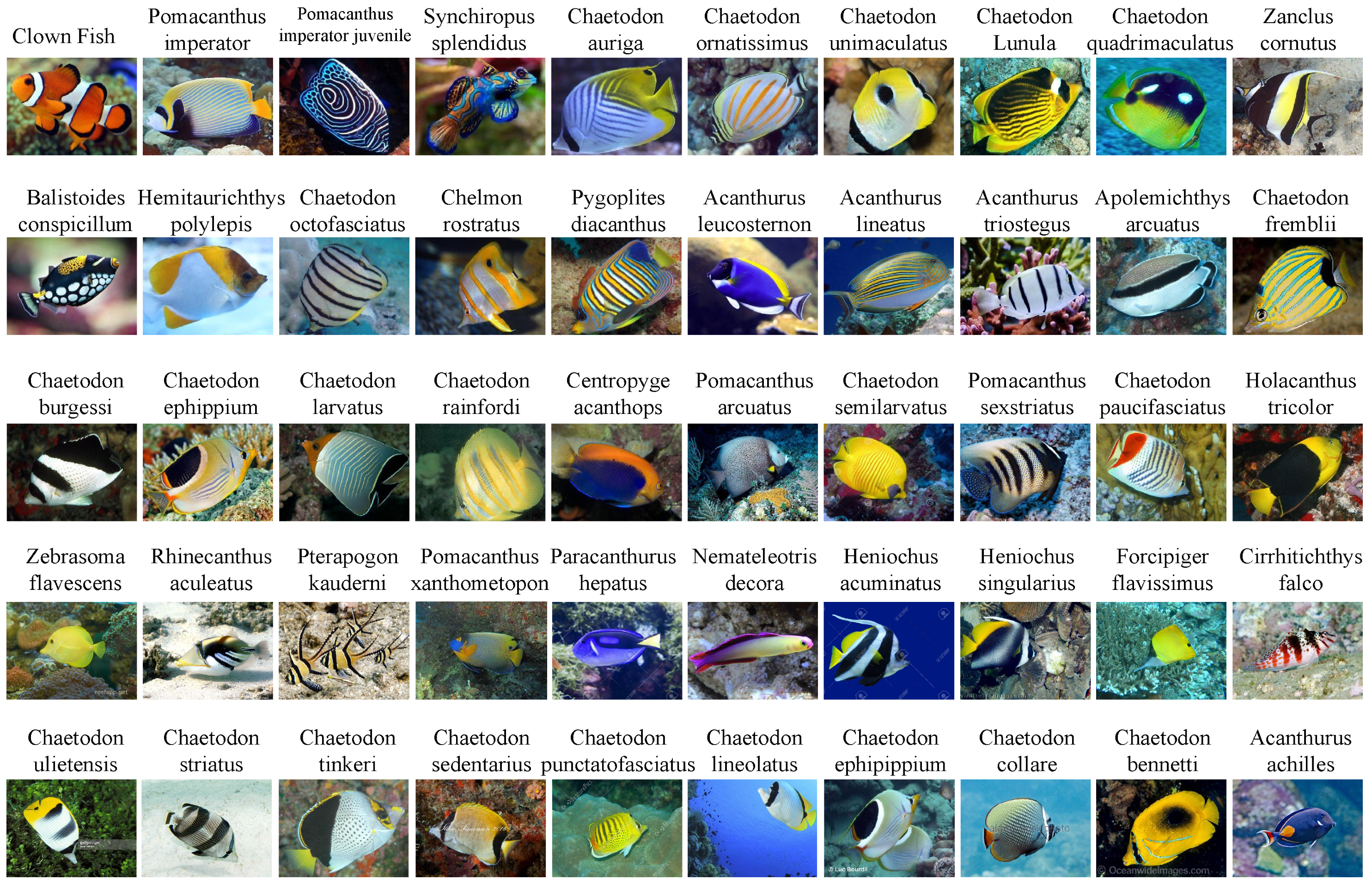 Electronics 11 02701 g005