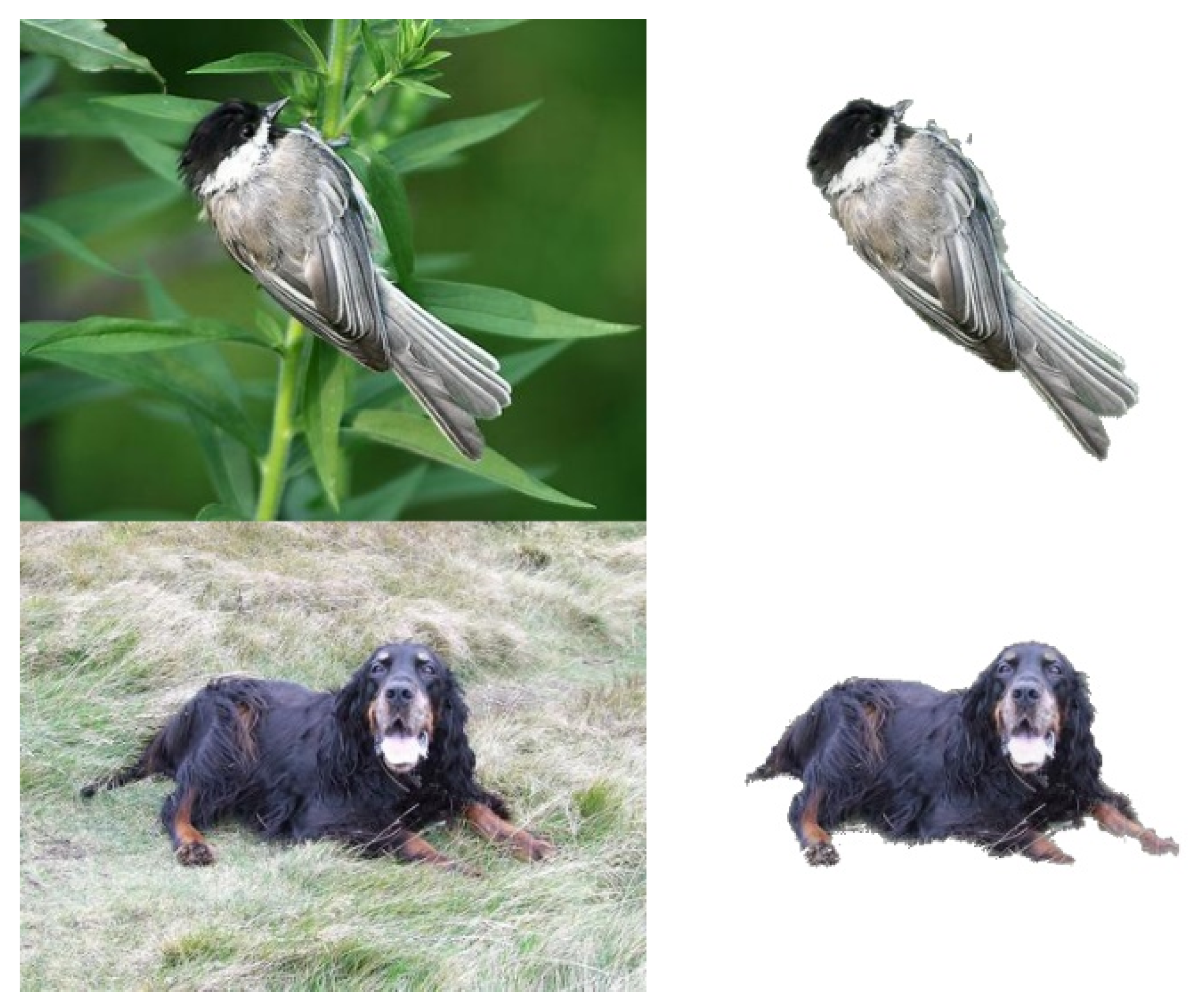 Electronics 11 02712 g007