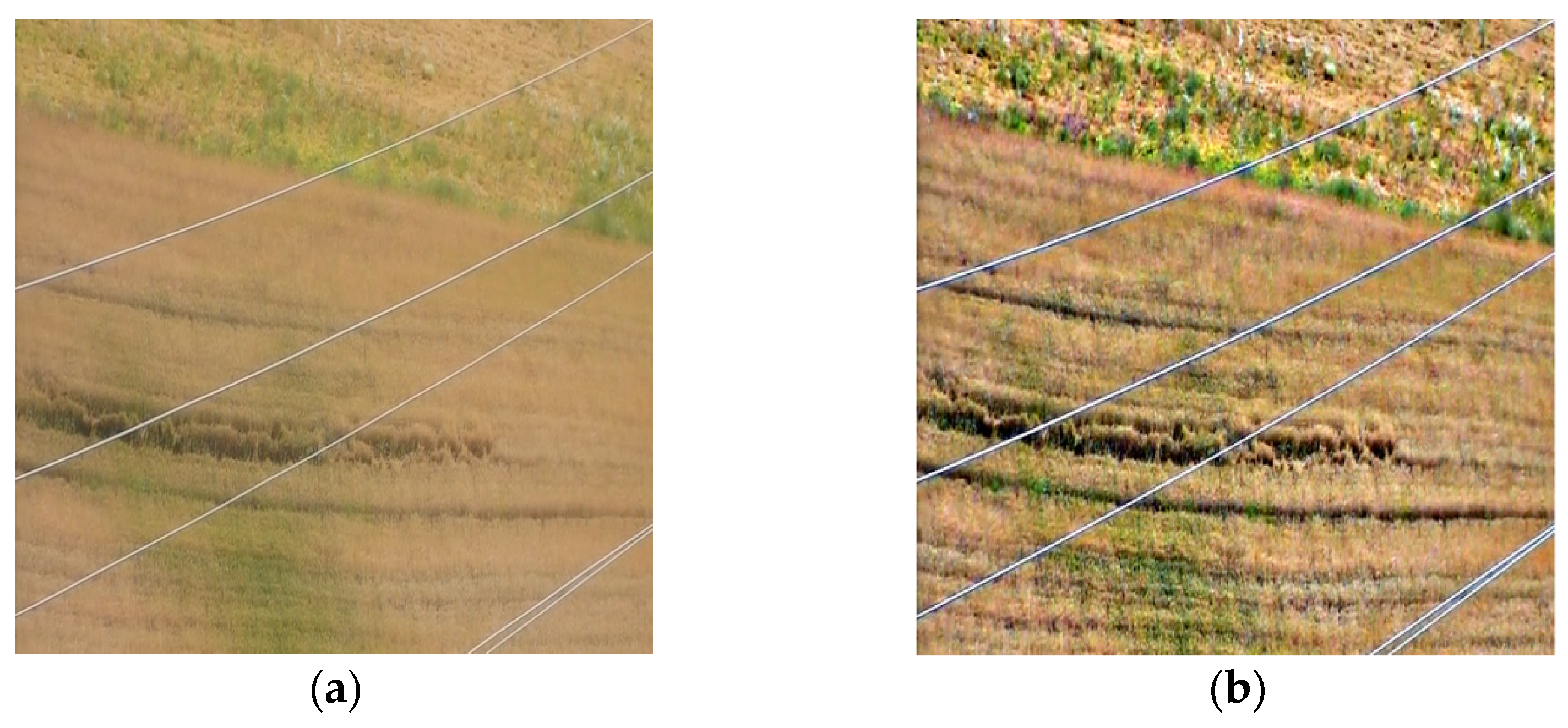 Electronics 11 02834 g001