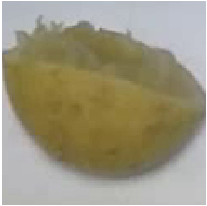 Electronics 11 03148 i018