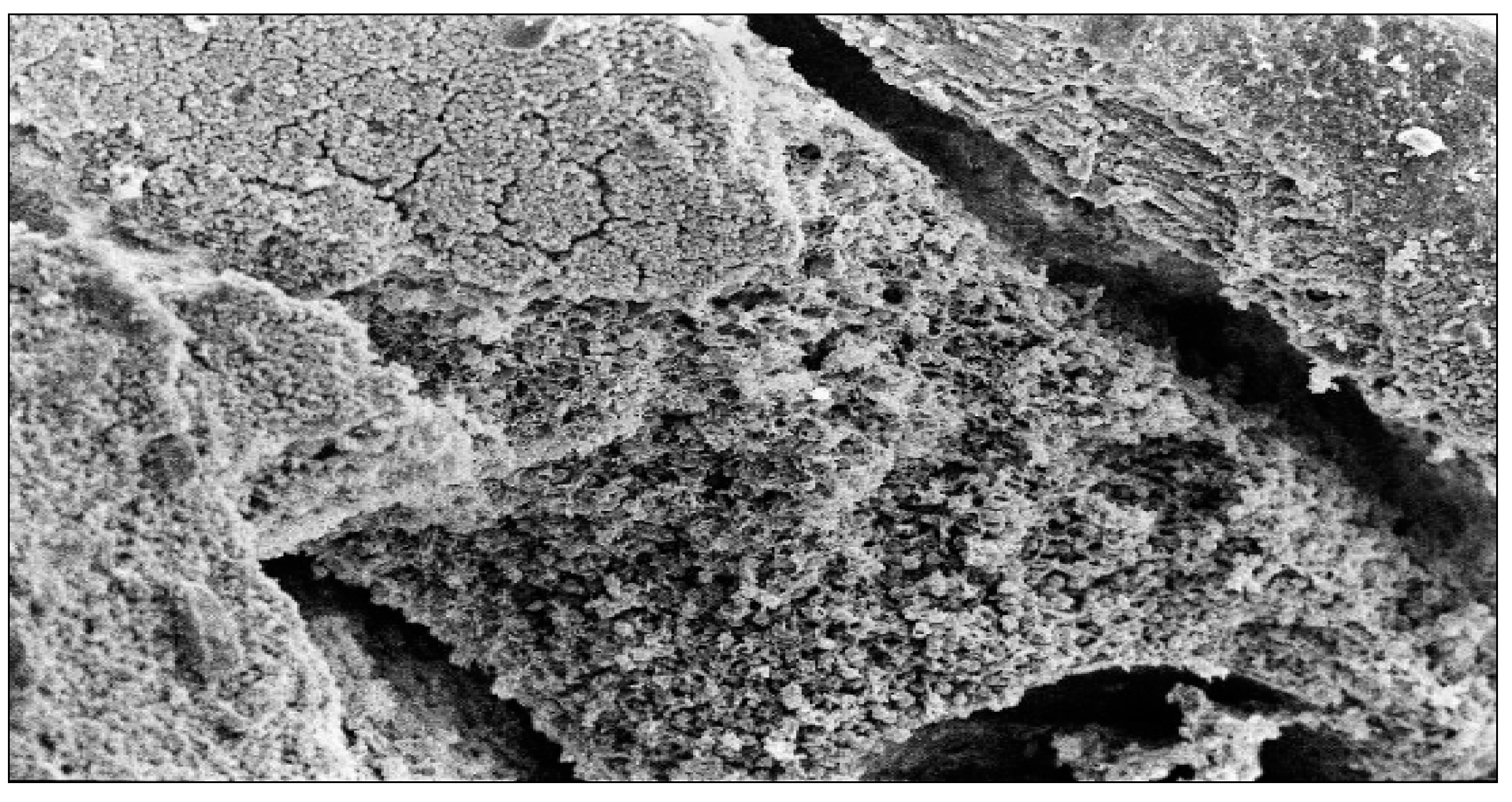 Electronics 11 03234 g006