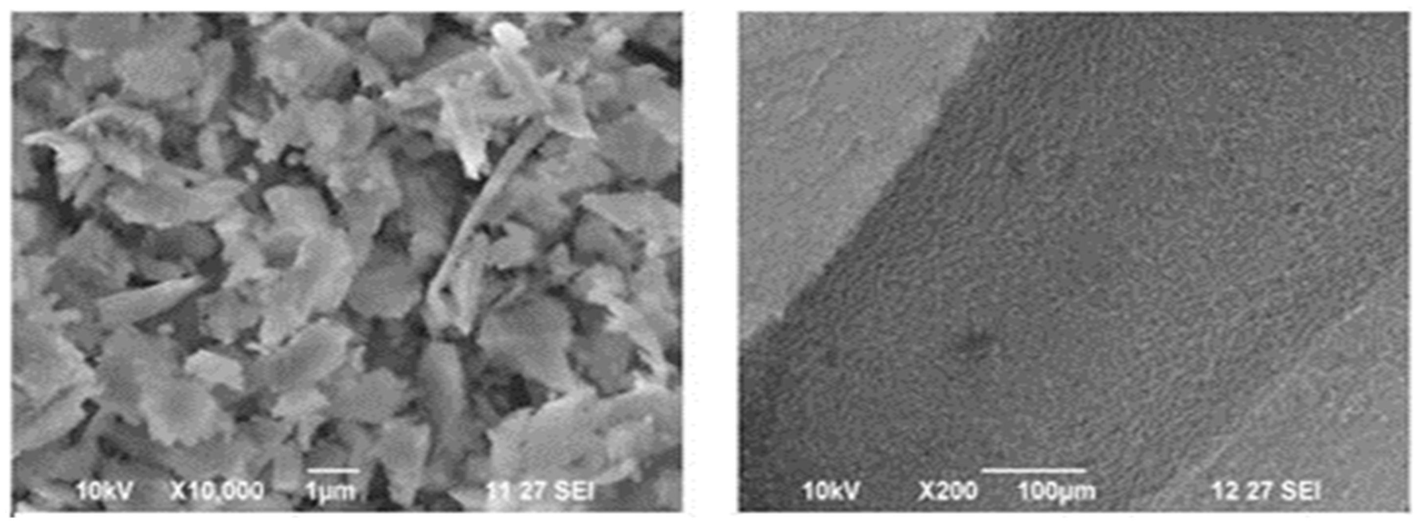 Electronics 11 03234 g010