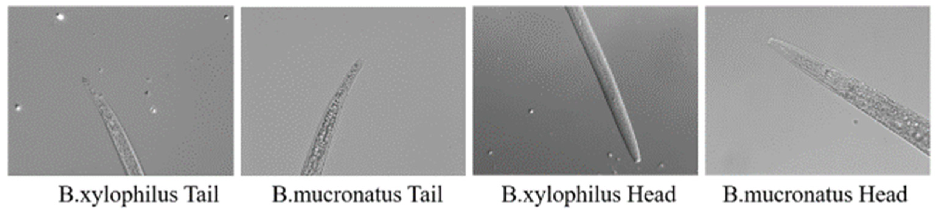 Electronics 11 03497 g001