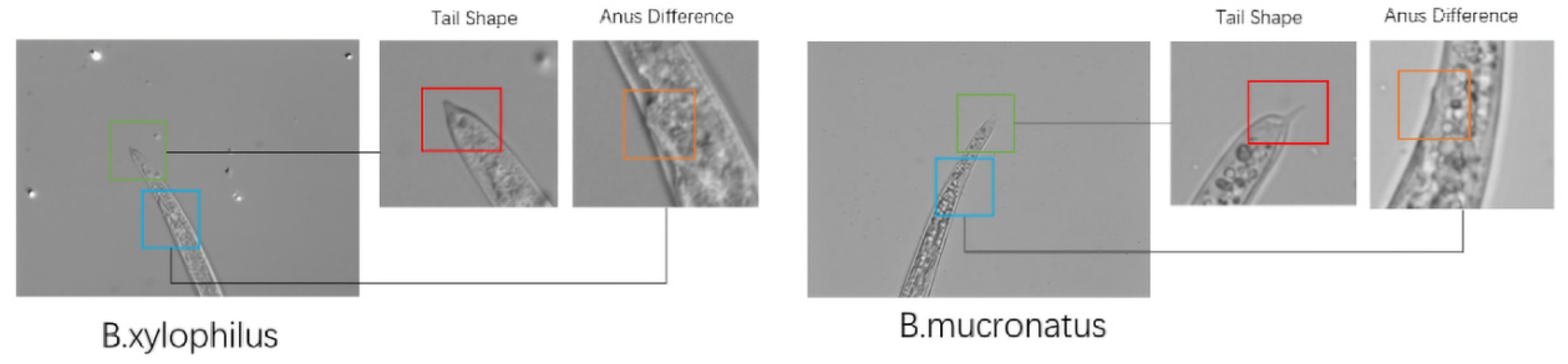 Electronics 11 03497 g002