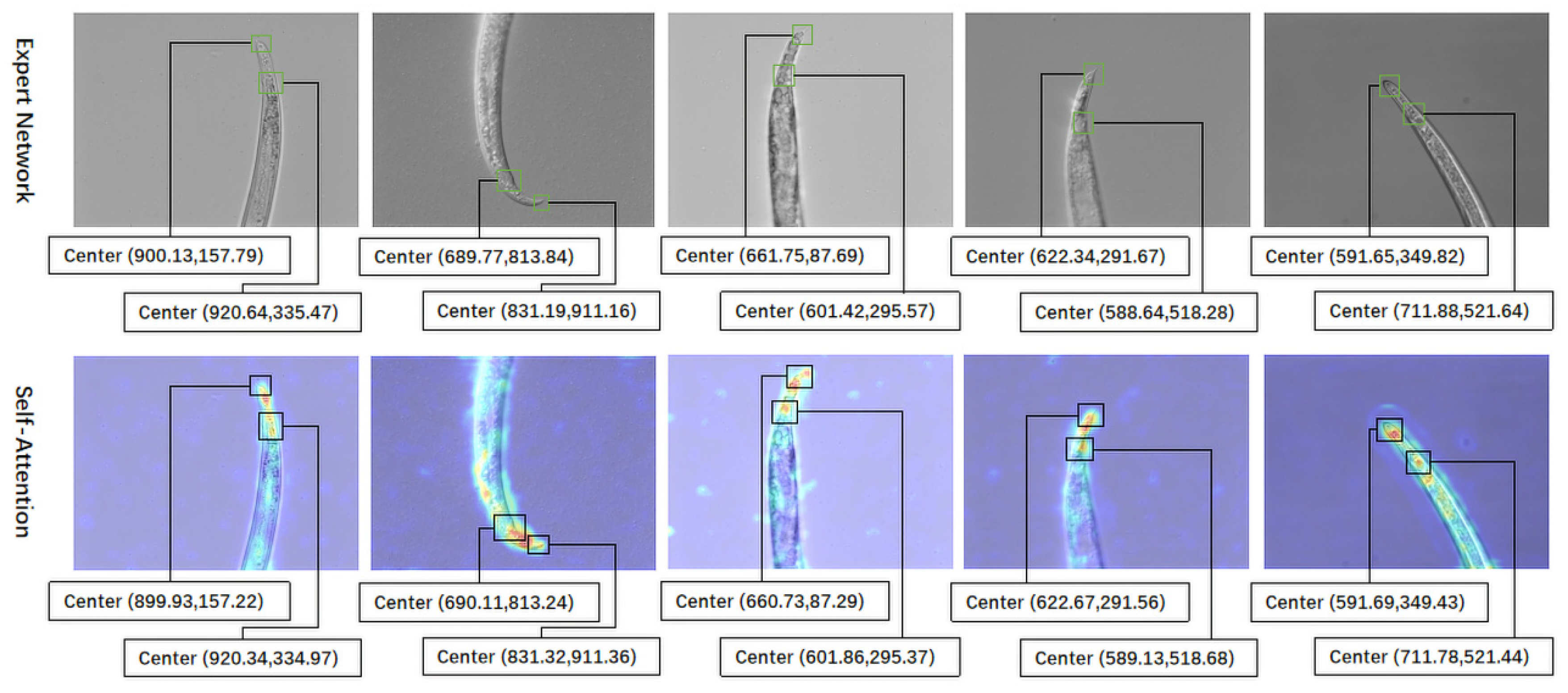Electronics 11 03497 g014
